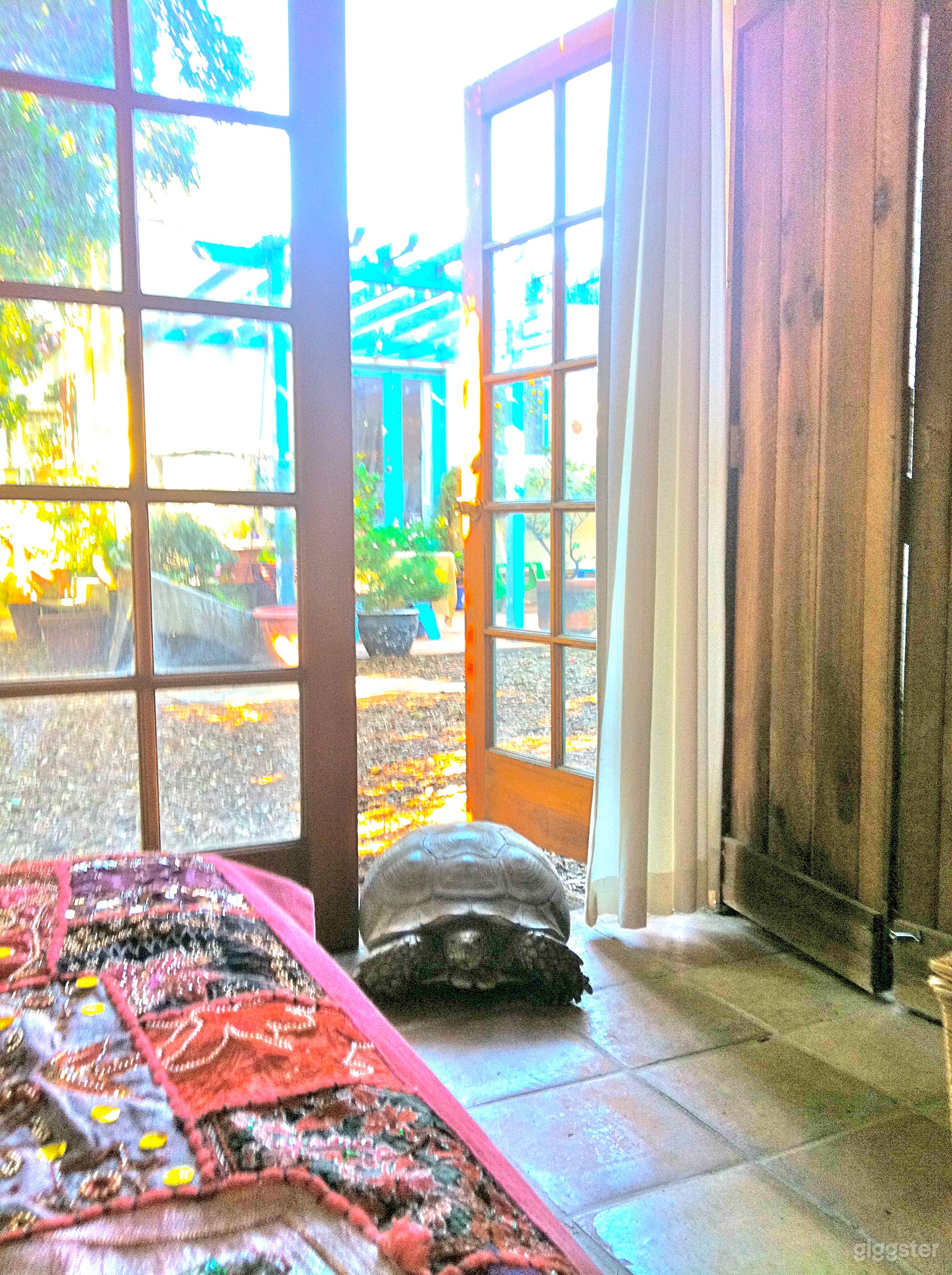 Artist's Urban Farm &amp; Barn Studios Photo 4