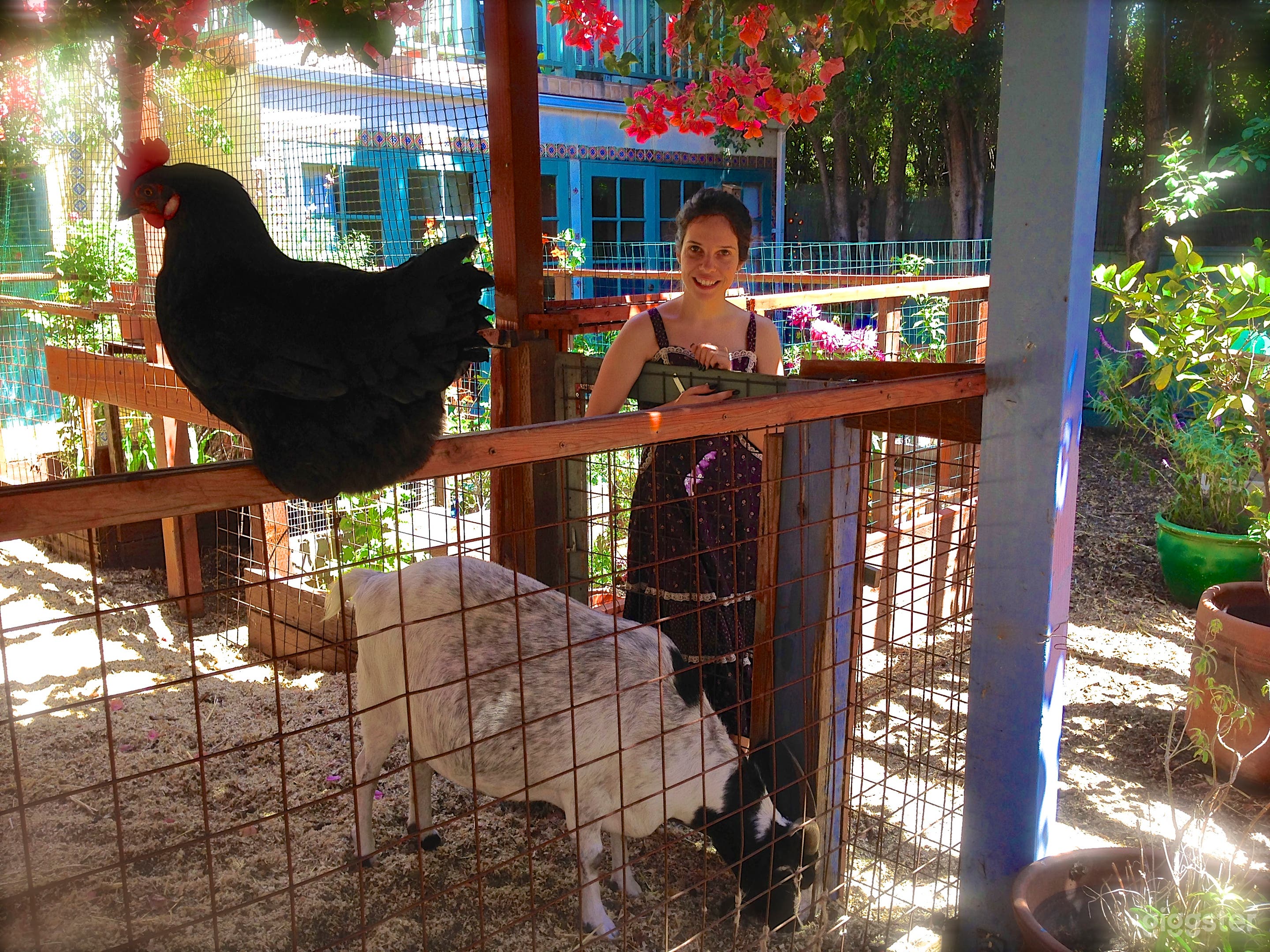 Artist's Urban Farm &amp; Barn Studios Photo 2