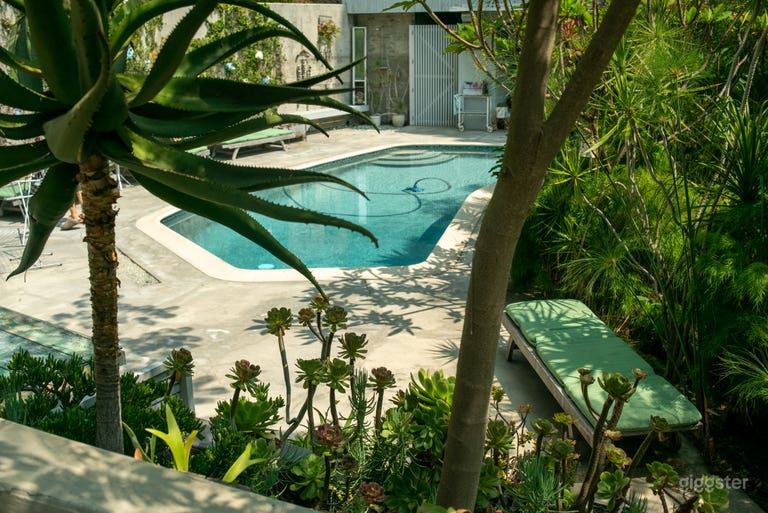  Hidden Mid Century Sanctuary Nestled in the Canyon 