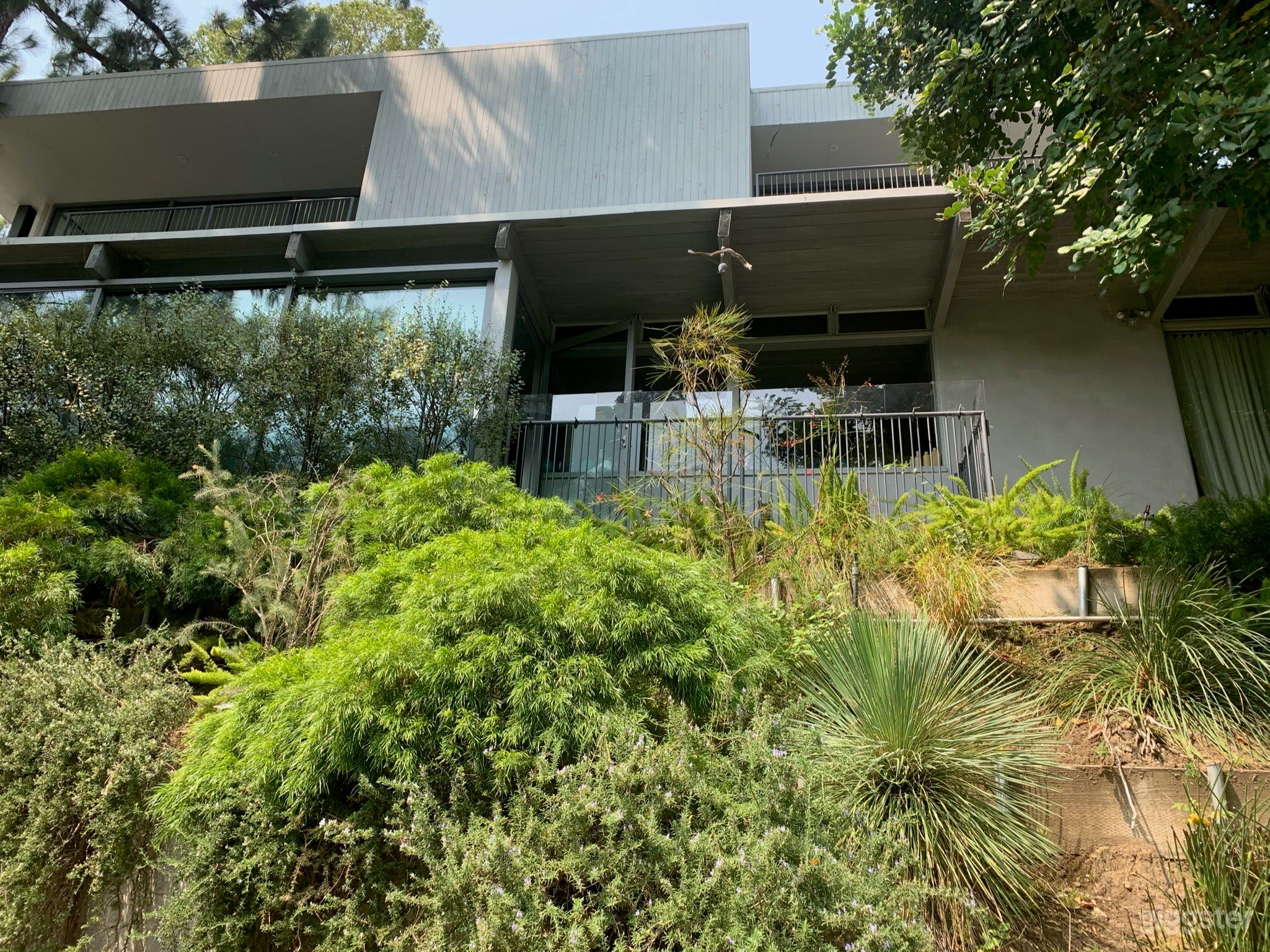 Hidden Mid Century Sanctuary Nestled in the Canyon Photo 3