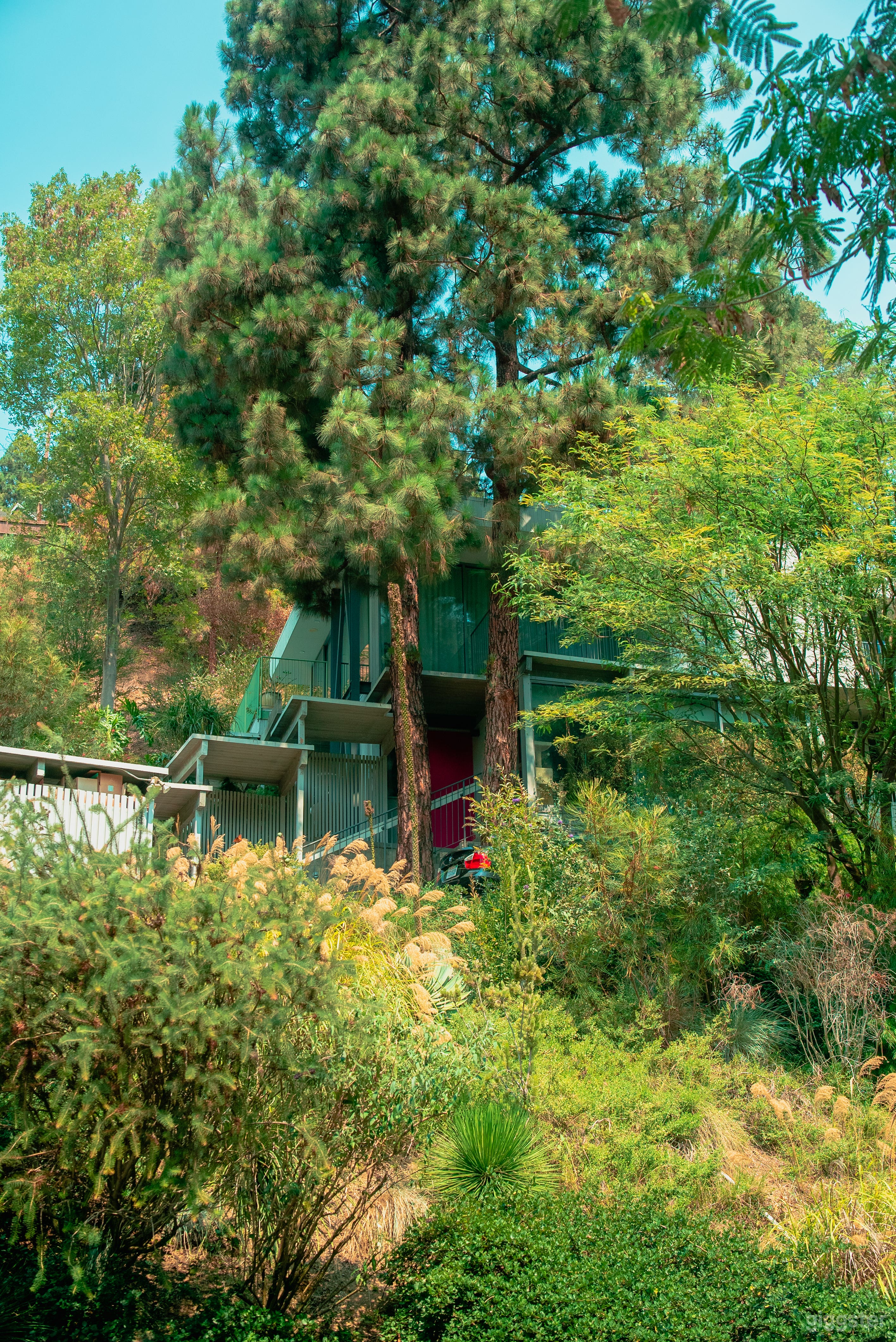 Hidden Mid Century Sanctuary Nestled in the Canyon Photo 1