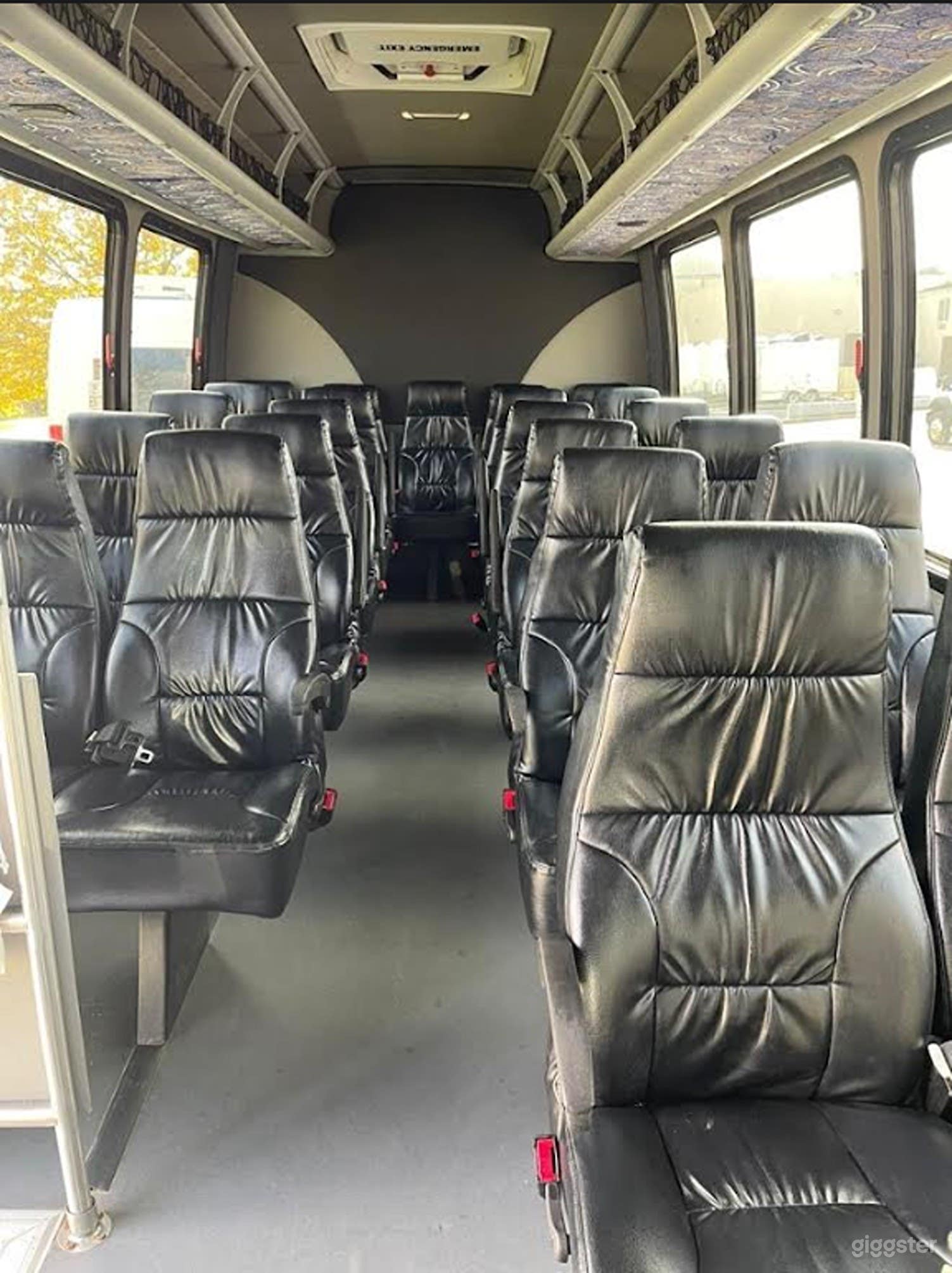 Luxury Mini Coach for 24 Passengers Photo 4