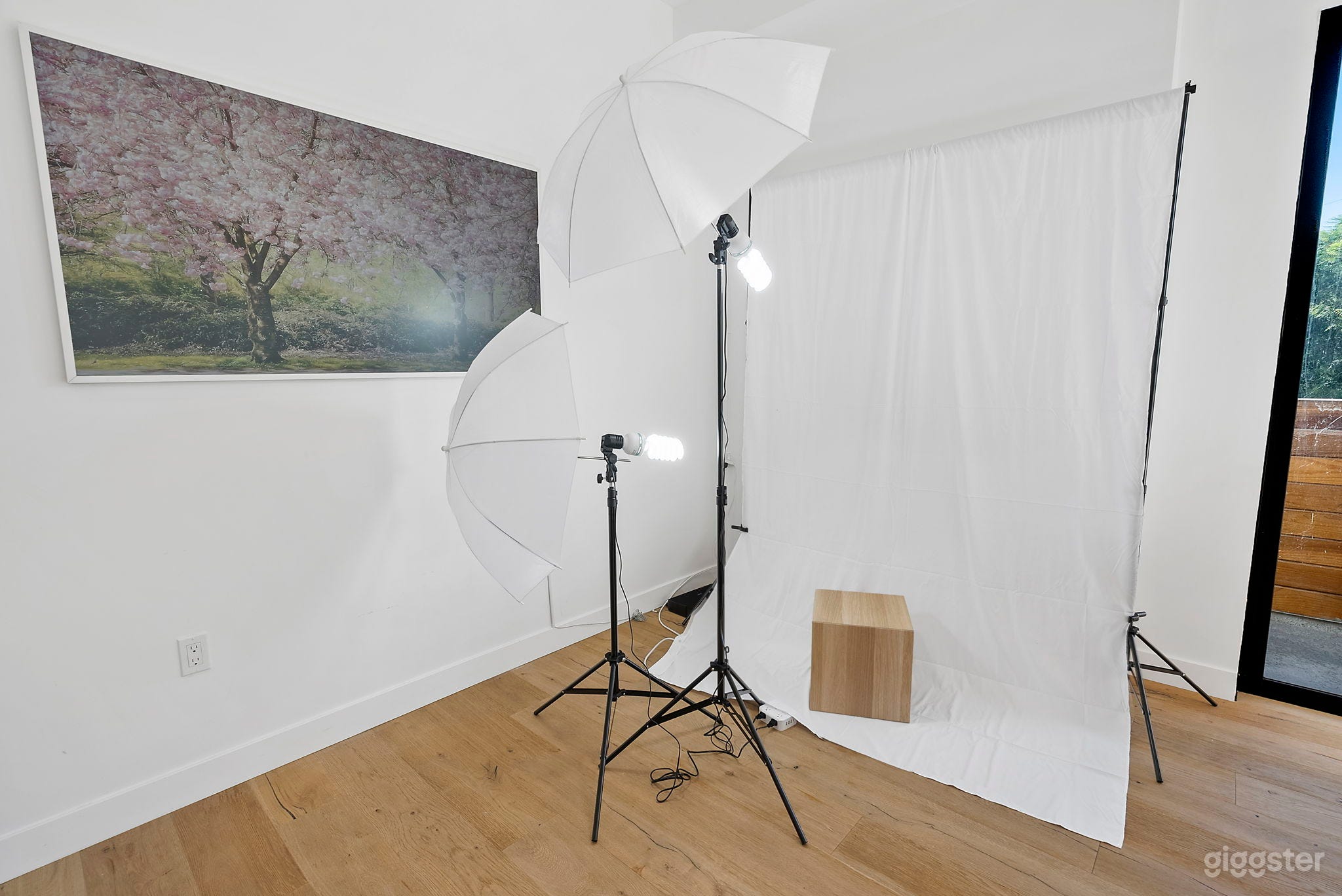 Private Sunny Rooftop with 360 Views of LA Photo 1