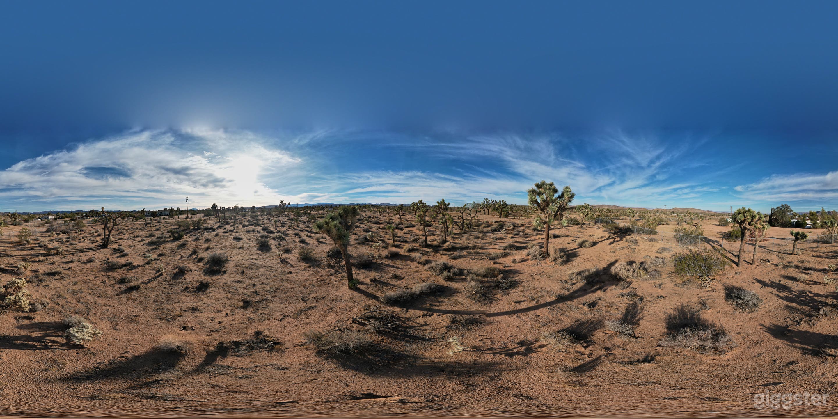 Avalon Ranch - 70s Ranch House + Desert Landscape Photo 3