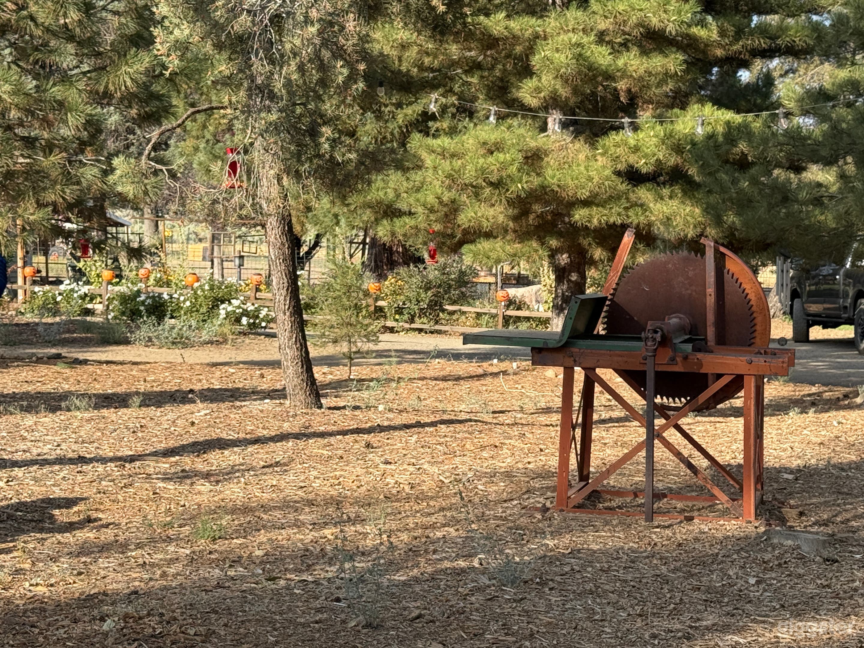 Log saw from the early 1900’s