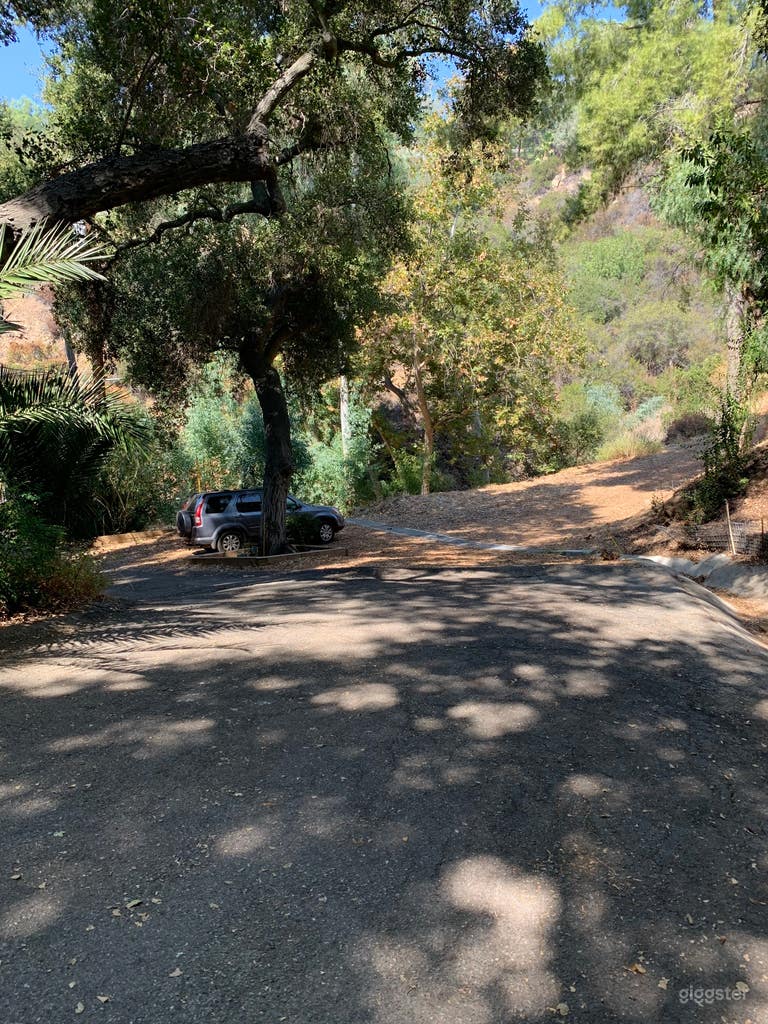  driveway and parking 