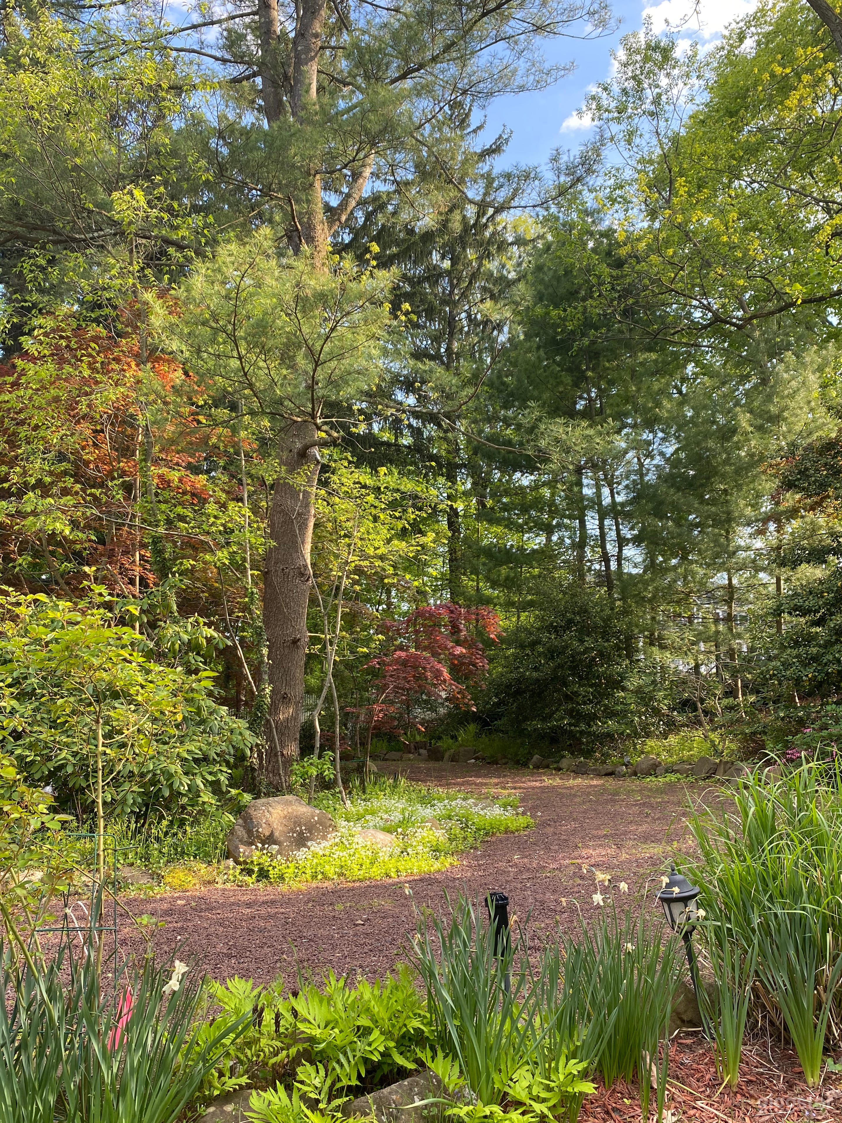 Circular driveway with mature trees.