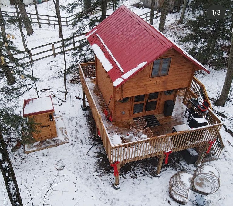  Animal Sanctuary B&B On 10 Acres 