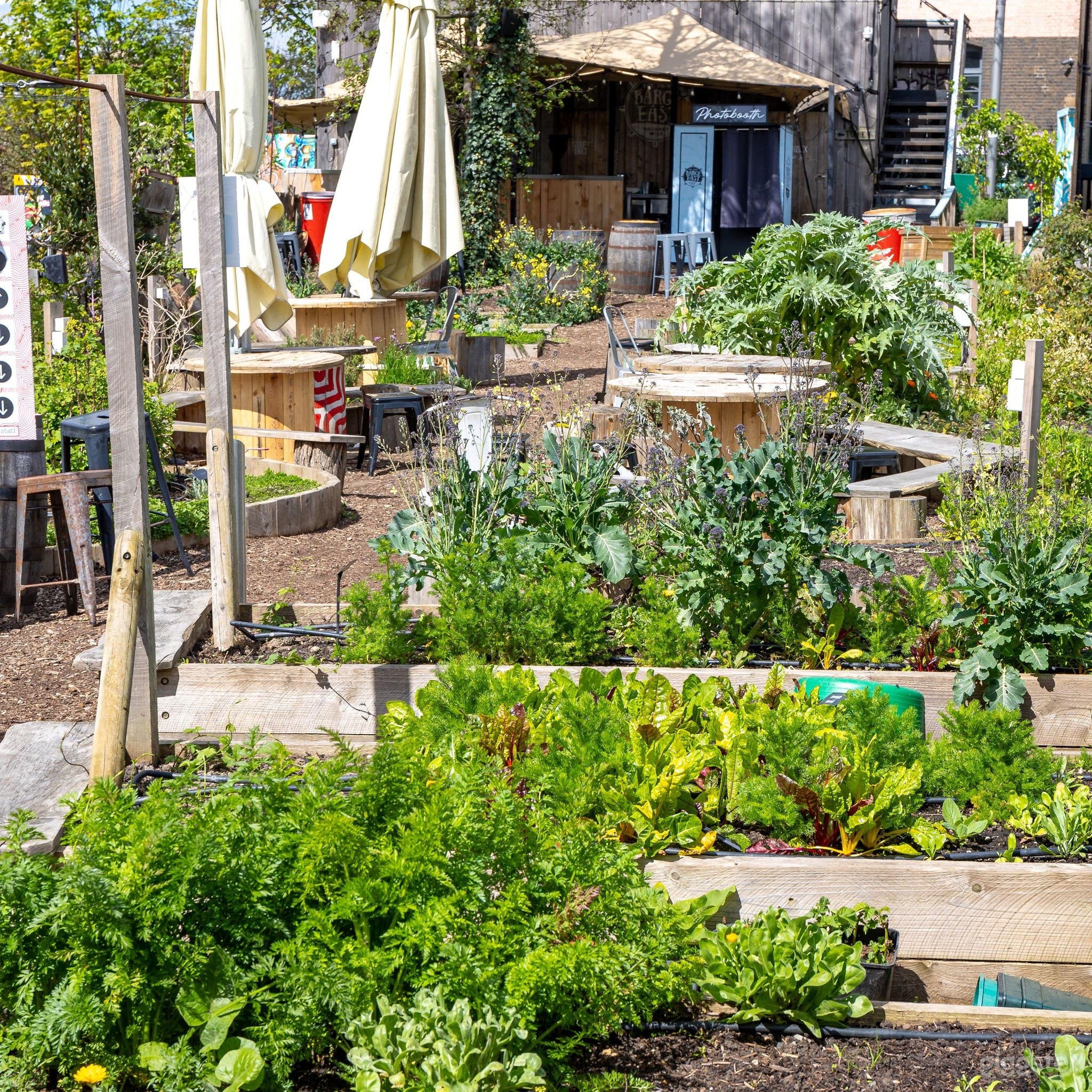 Bright Garden Pods with Great Atmosphere Photo 3