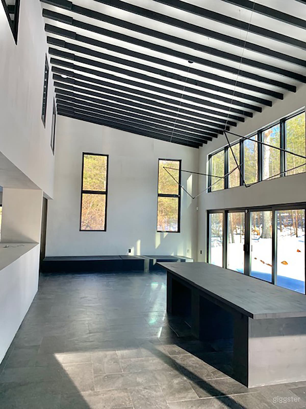 Stunning Woodstock Retreat- Architect's home Photo 3