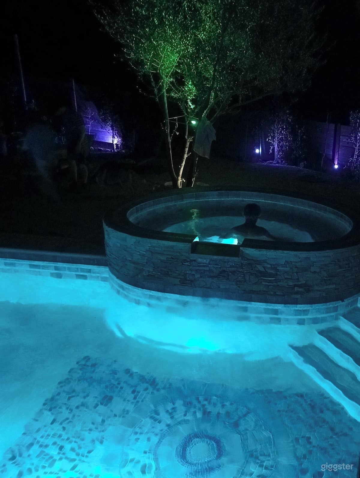 Brand New Fully Tiled Lap Pool with Extra-Large Jacuzzi Photo 3