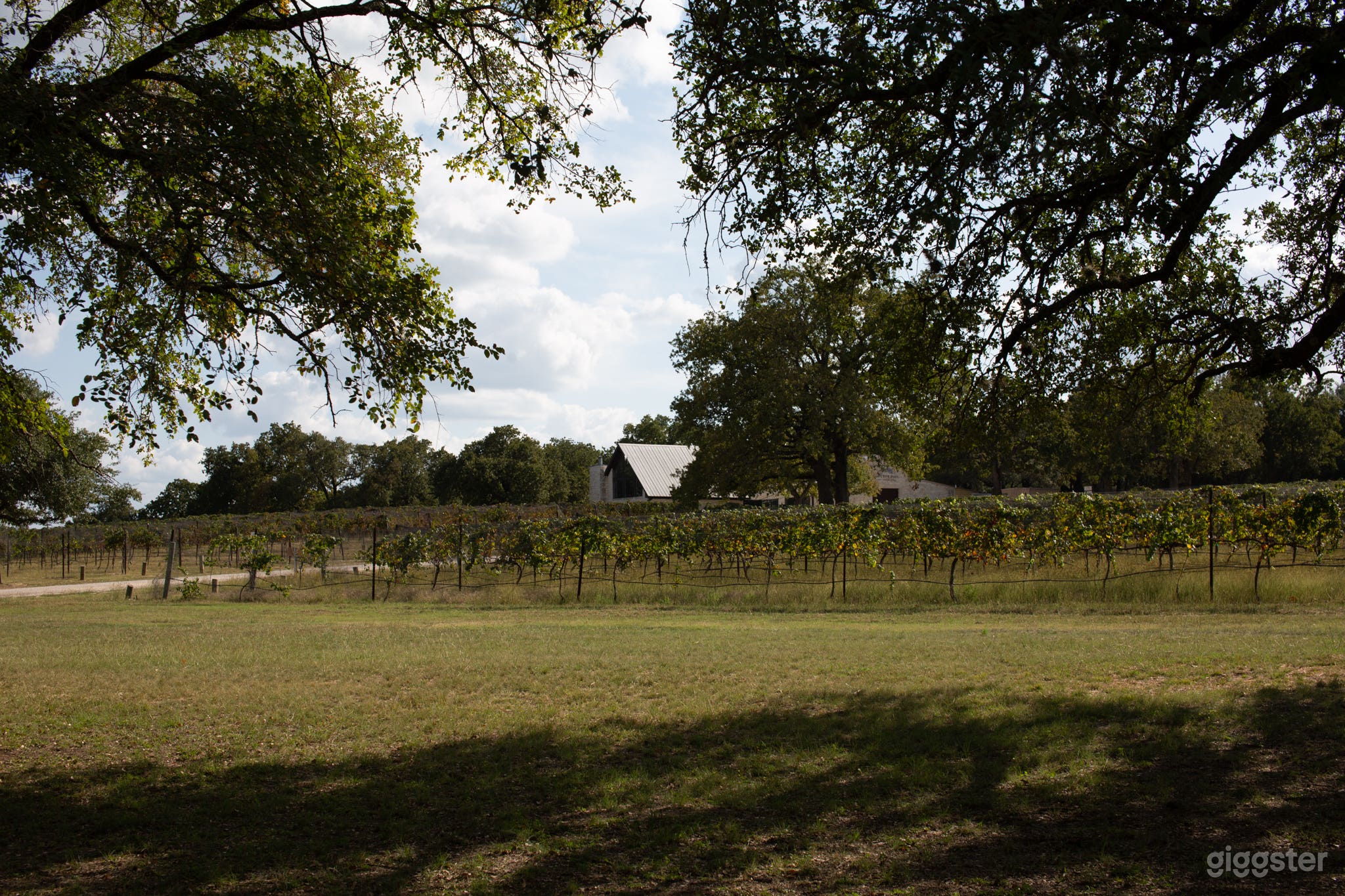 An Exquisite Pool, Vineyards &amp; Farms In Dripping Springs Photo 2