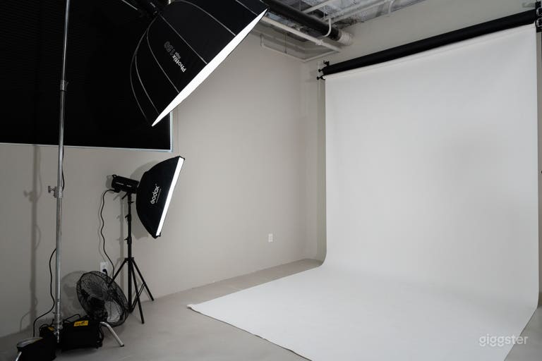  Professional lightning: Godox FH50R 
LED light: Godox DP600IIIV 600Ws
Umbrella light: Godox Portable 120cm/47.2&quot; Umbrella Octagon Softbox Reflector with Carrying Bag for Studio Photo Flash Speedlight 