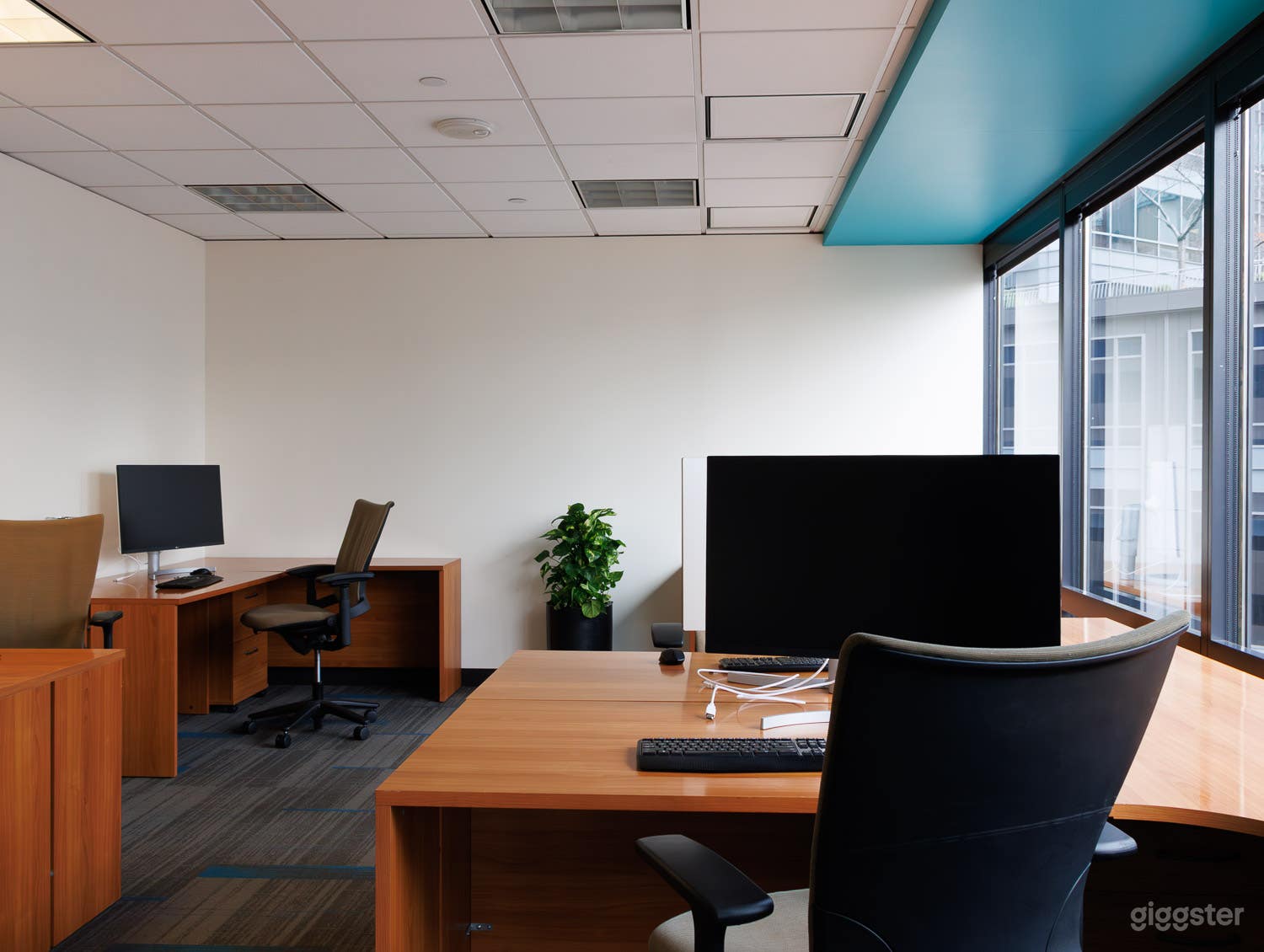 Hawaii: Tech Team Suite w/ 4K Monitors, City Views Photo 4