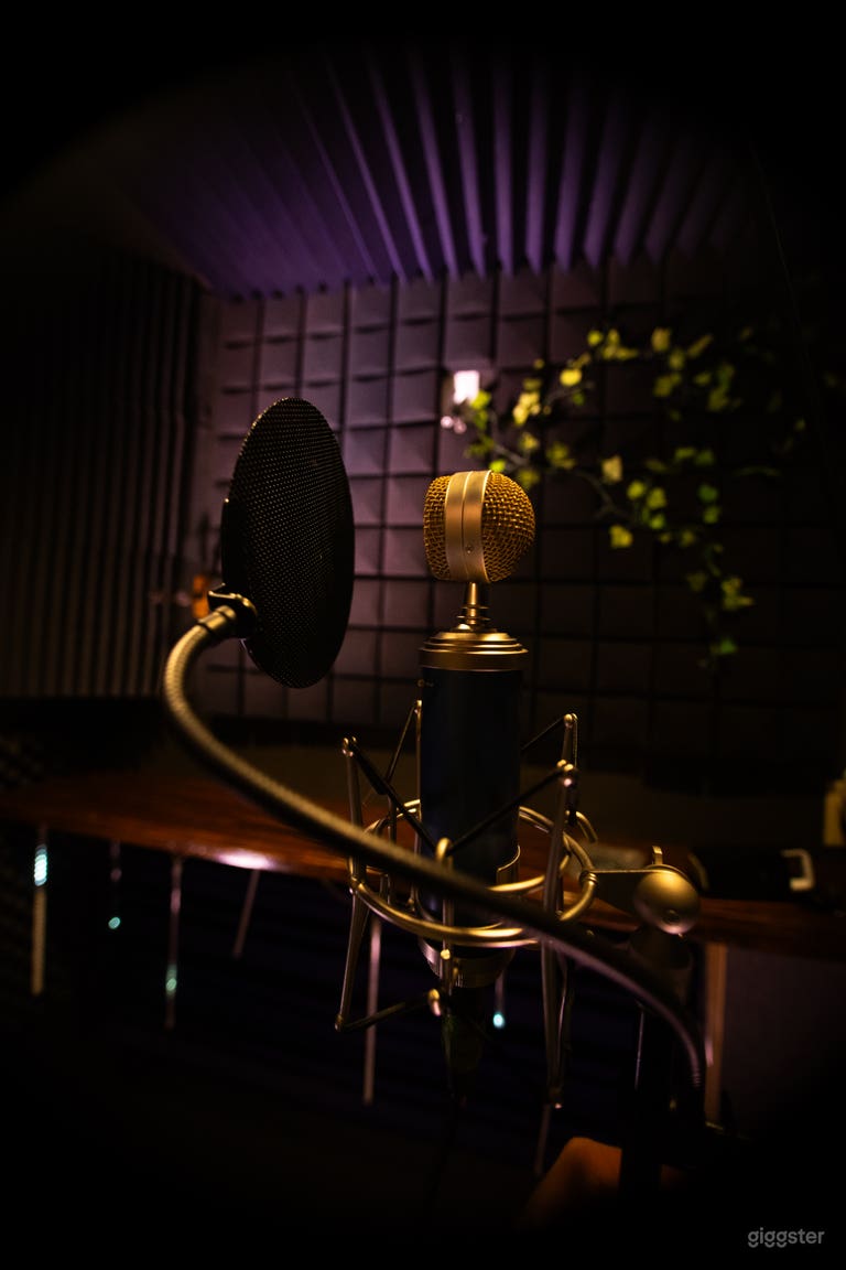  Vocal Booth 