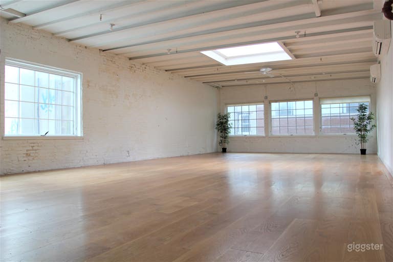  Charming White Brick Studio with Skylight in LES 