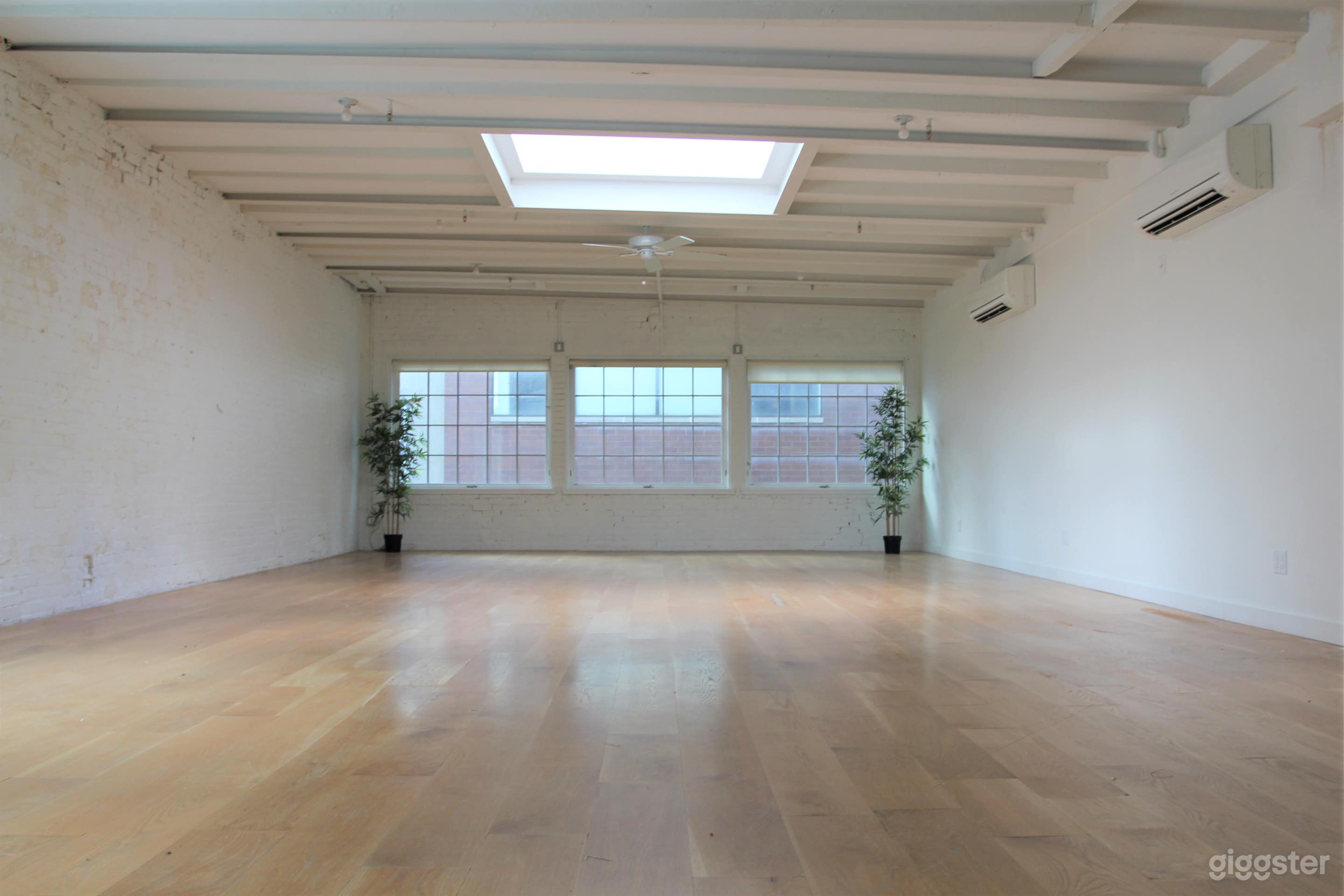 Charming White Brick Studio with Skylight in LES Photo 3
