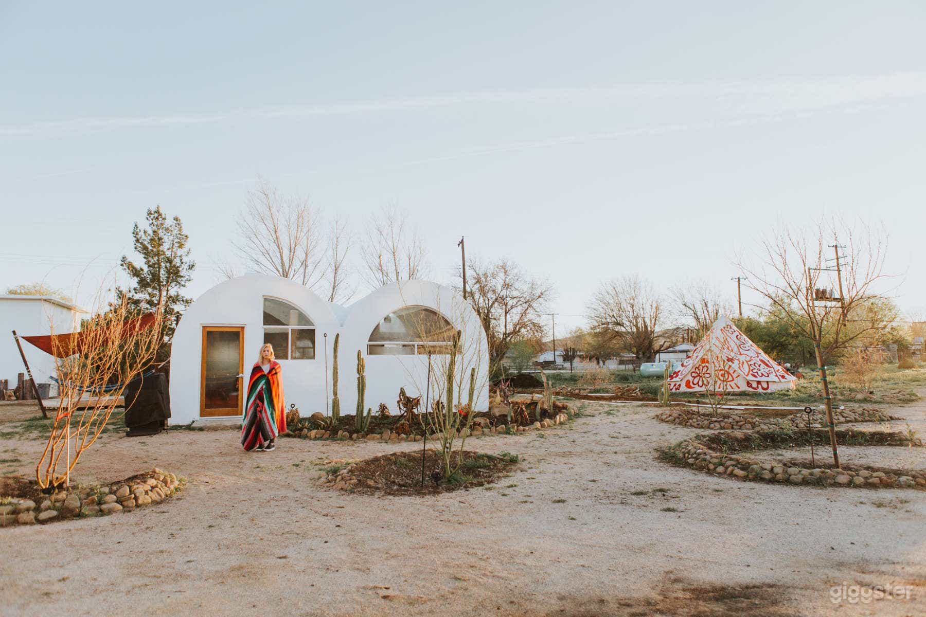 Khalili Cantina  Photo 3