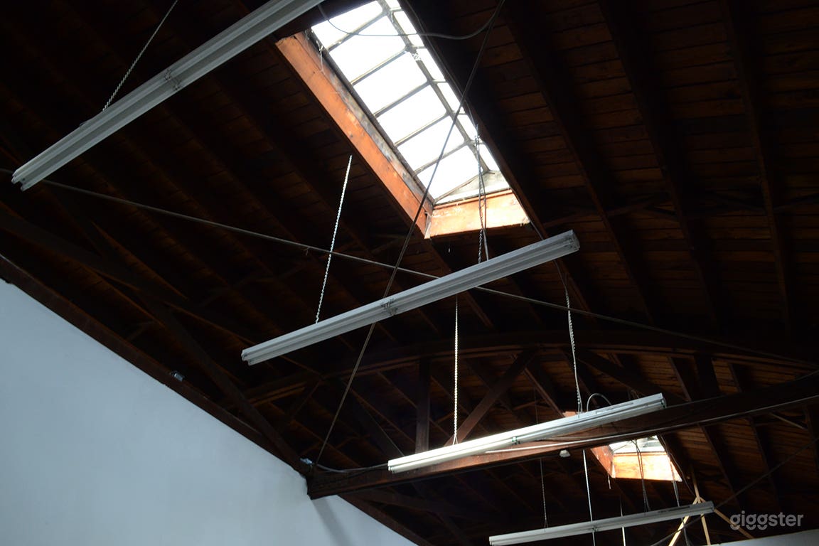 Raw Warehouse space and white cube gallery   Photo 4