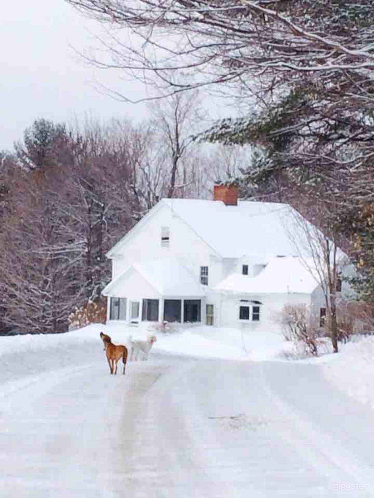 Beautiful 1802 Saddle Hill Farm with Hay Fields, Views Photo 3