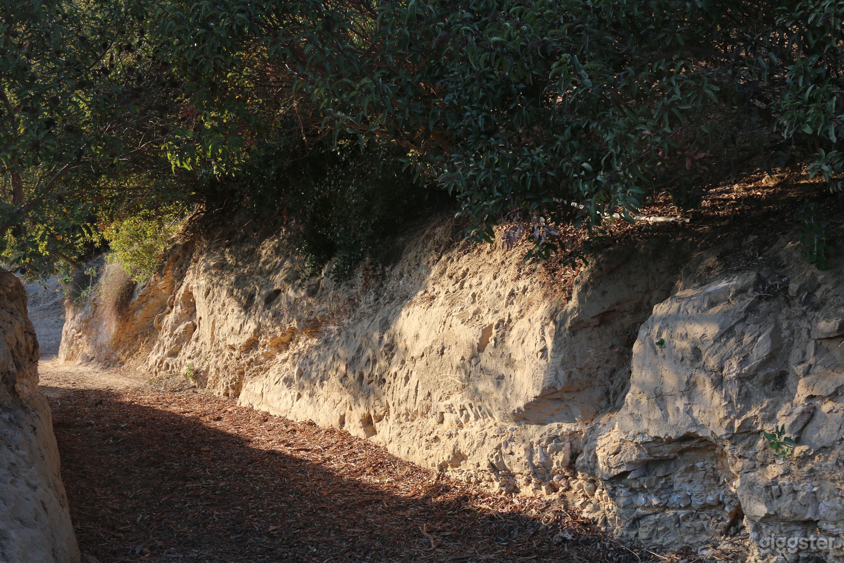 Approach between head high sandstone walls overhung with sumac