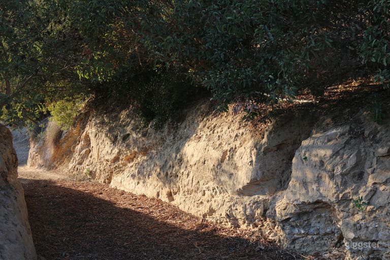  Approach between head high sandstone walls overhung with sumac 