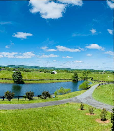 Multi-Venue Estate Farm in Leesburg, Virginia Photo 4