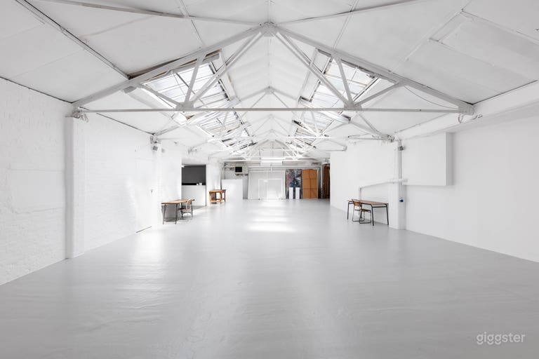  White screen dividers and some light flats included 