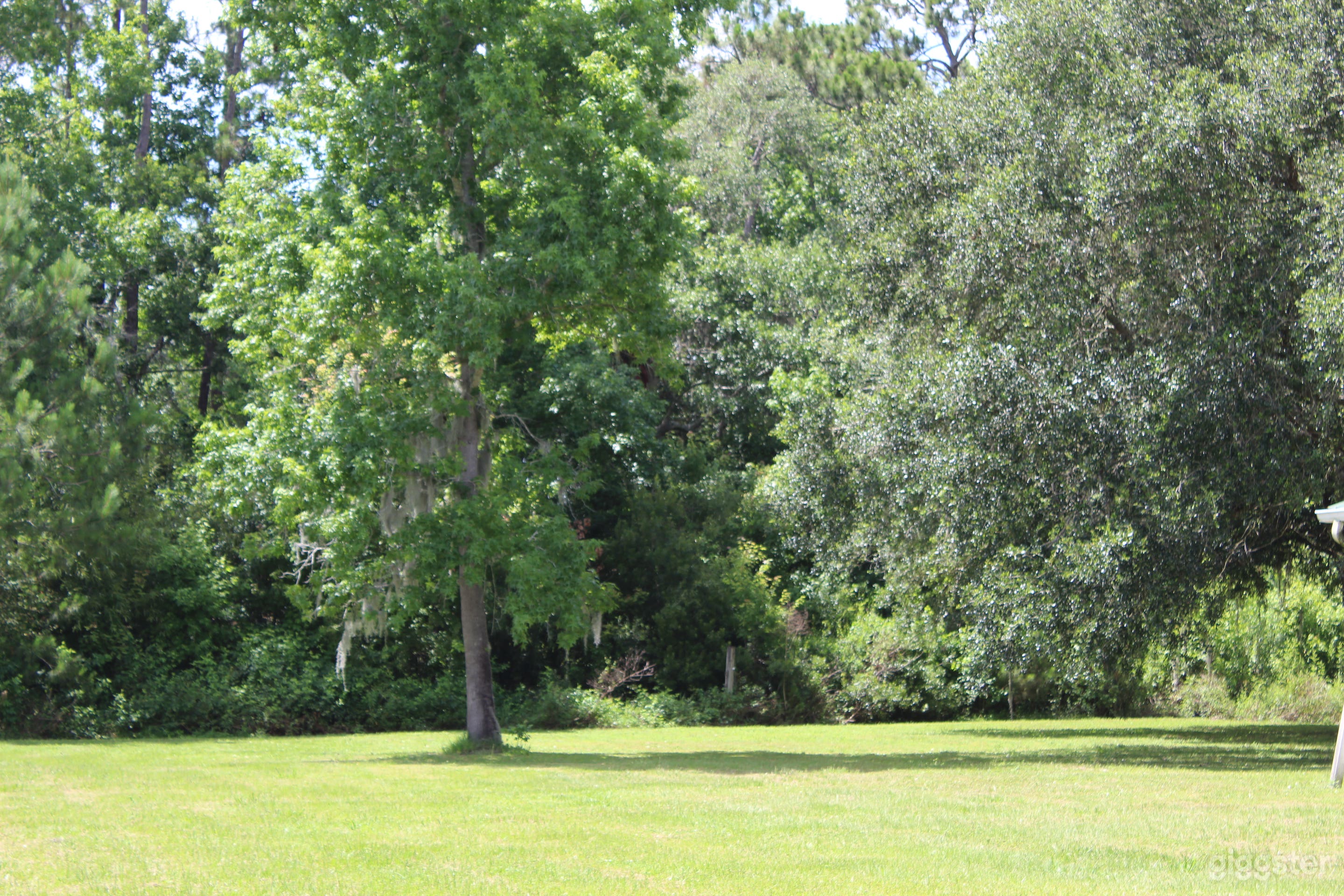 Large horse barn on equestrian farm in NE Florida Photo 4