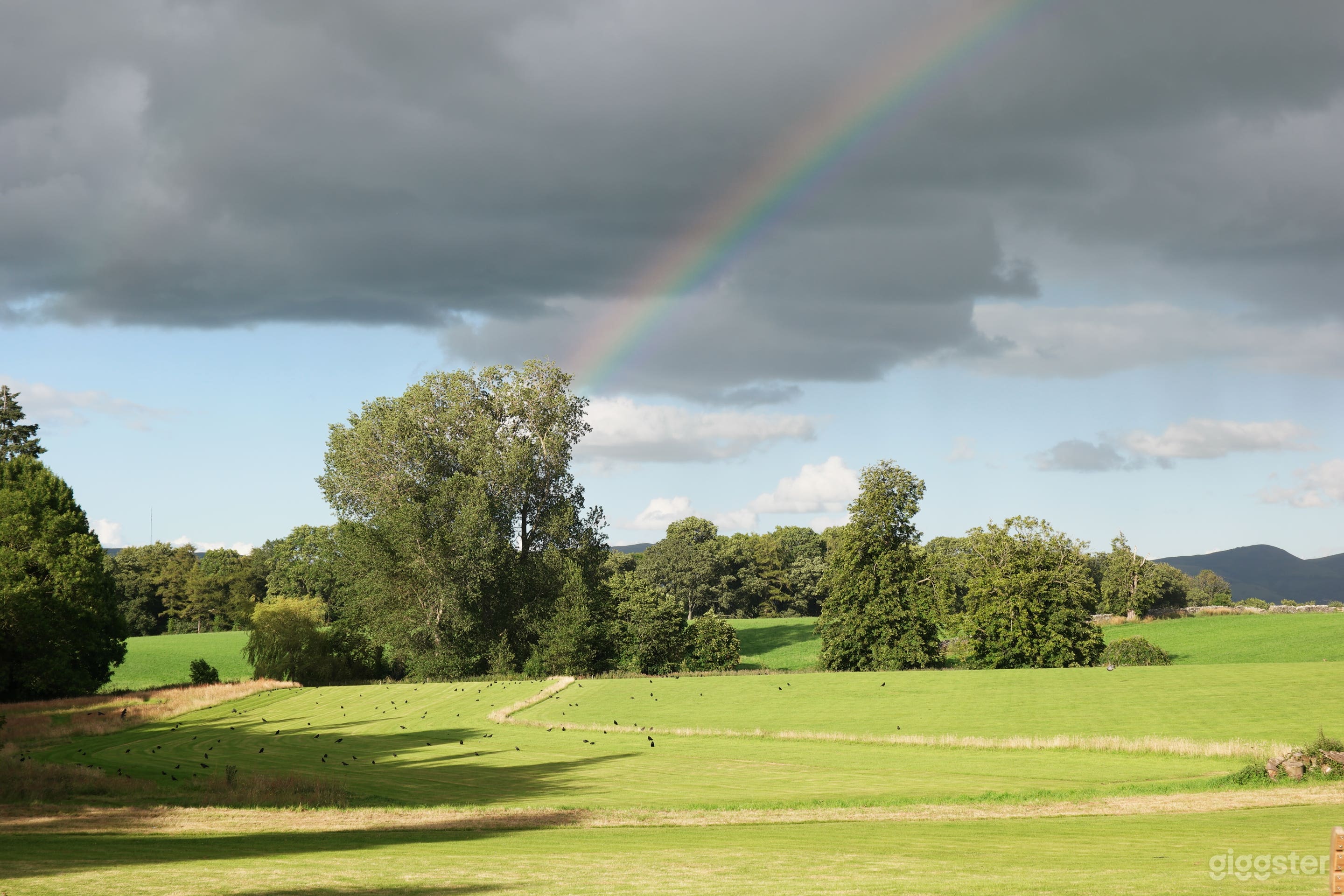 The Segrwyd Hall Estate, North Wales Photo 4