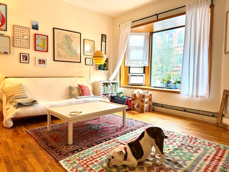  Harlem family row house with garden 