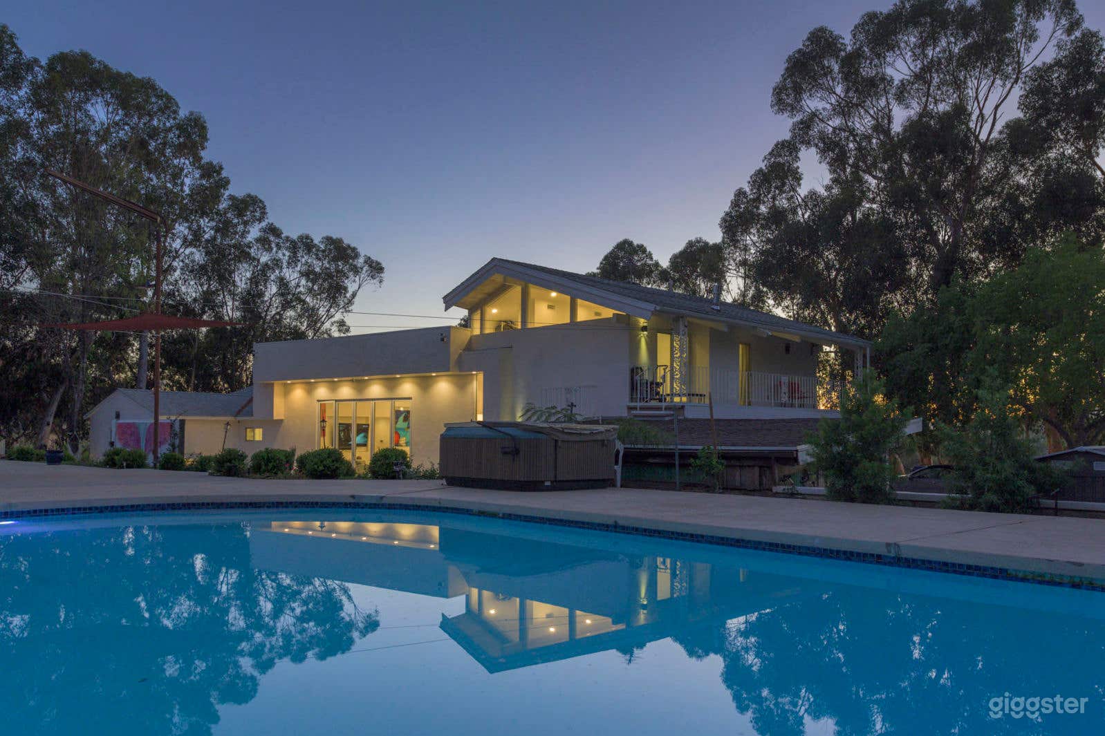 Mid Century Modern Pool/SPA-lush Photo 4