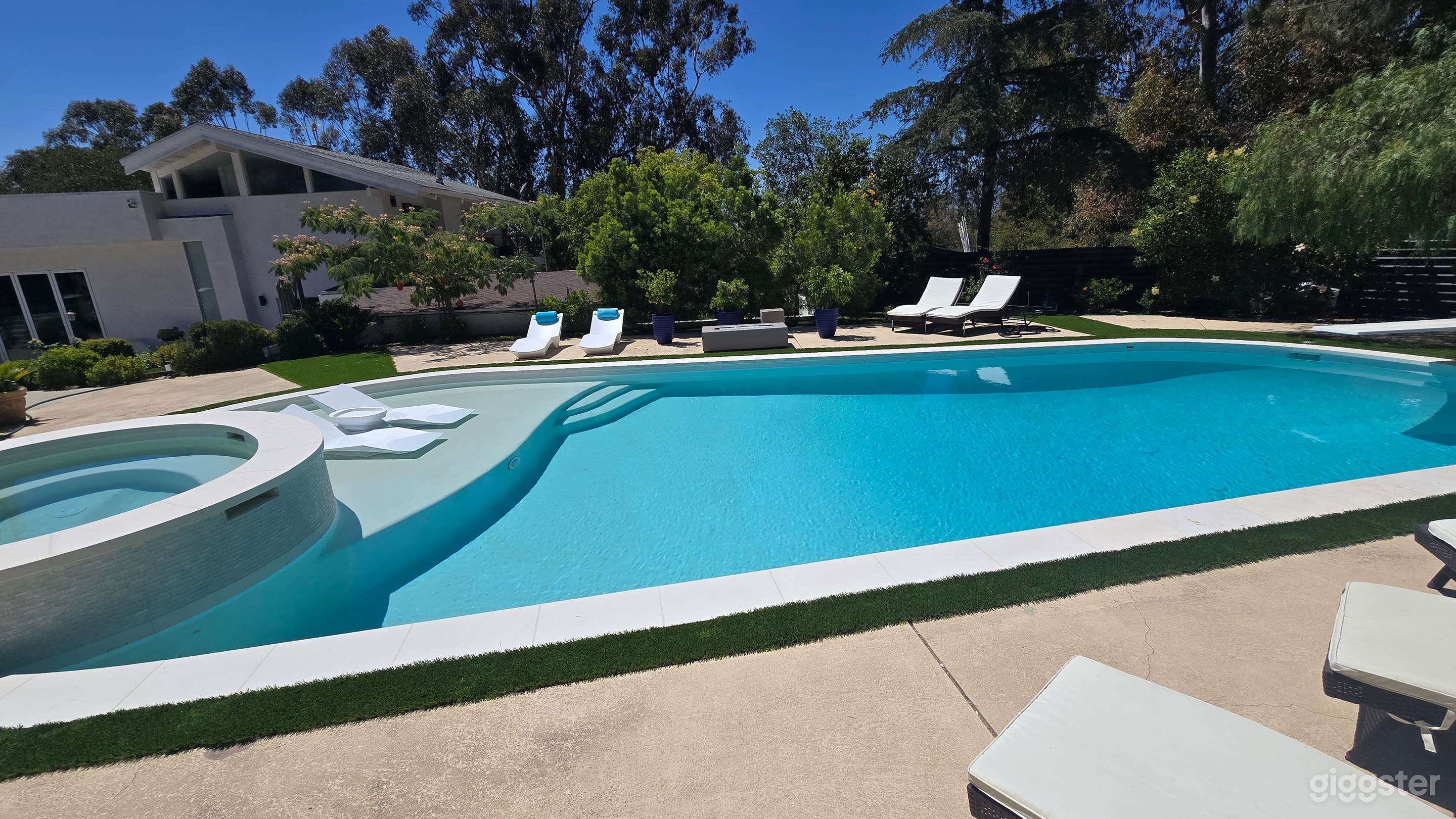 Mid Century Modern Pool/SPA-lush Photo 3