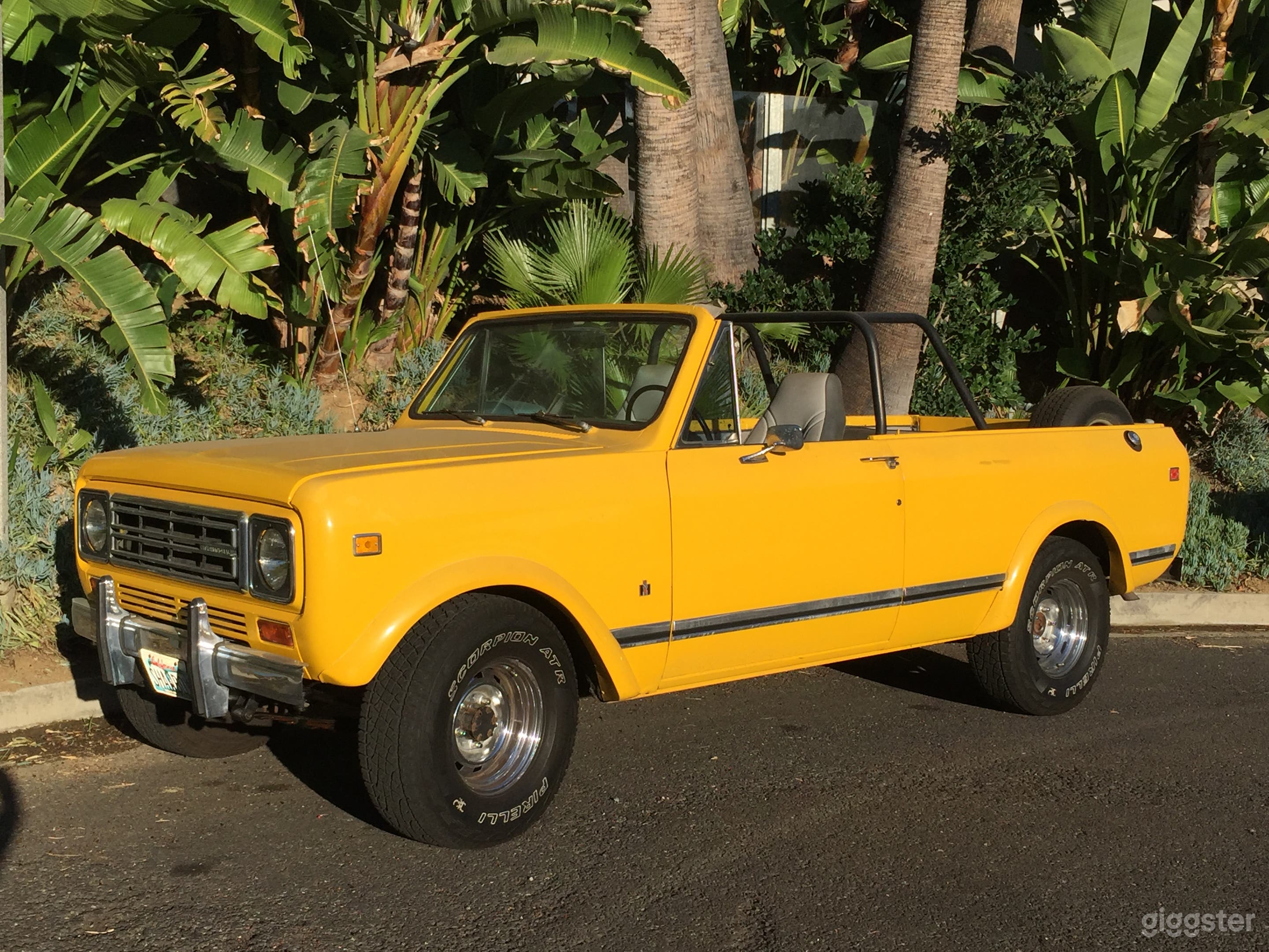 International Scout  Photo 1