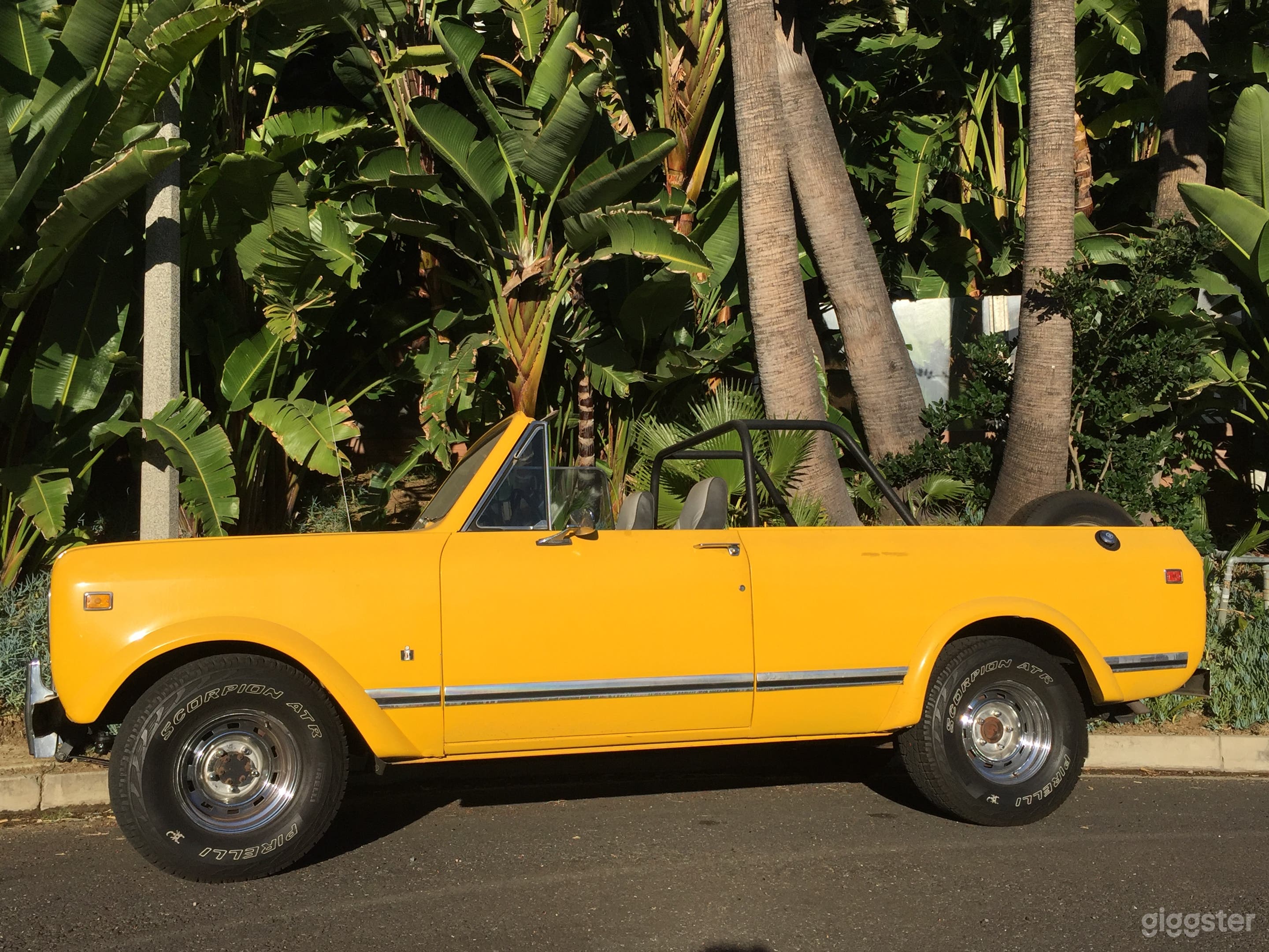 International Scout  Photo 2