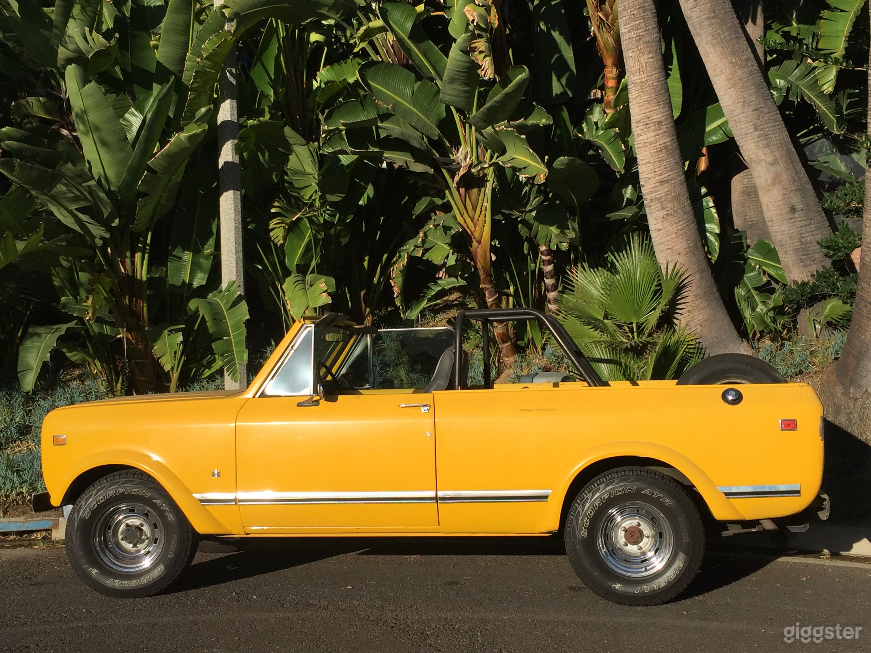 International Scout  Photo 4