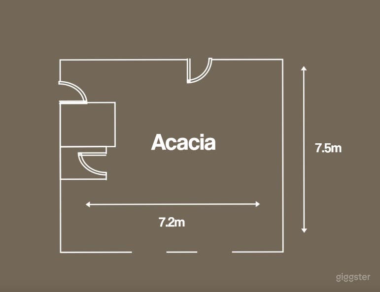 Acacia Photo 3
