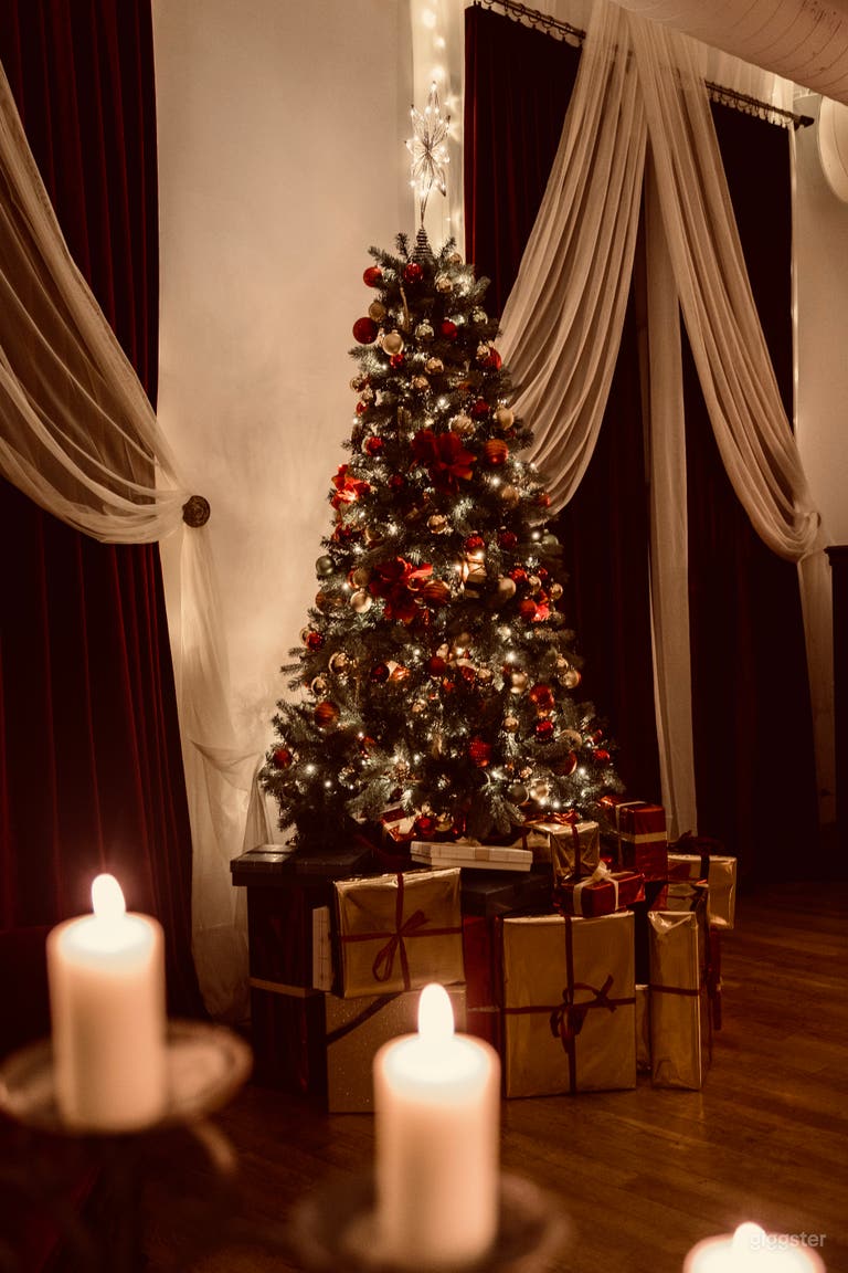  Holiday Set Up Nov. 15-Dec 26th. Tree/gifts on wheels so can be moved out of shot. 