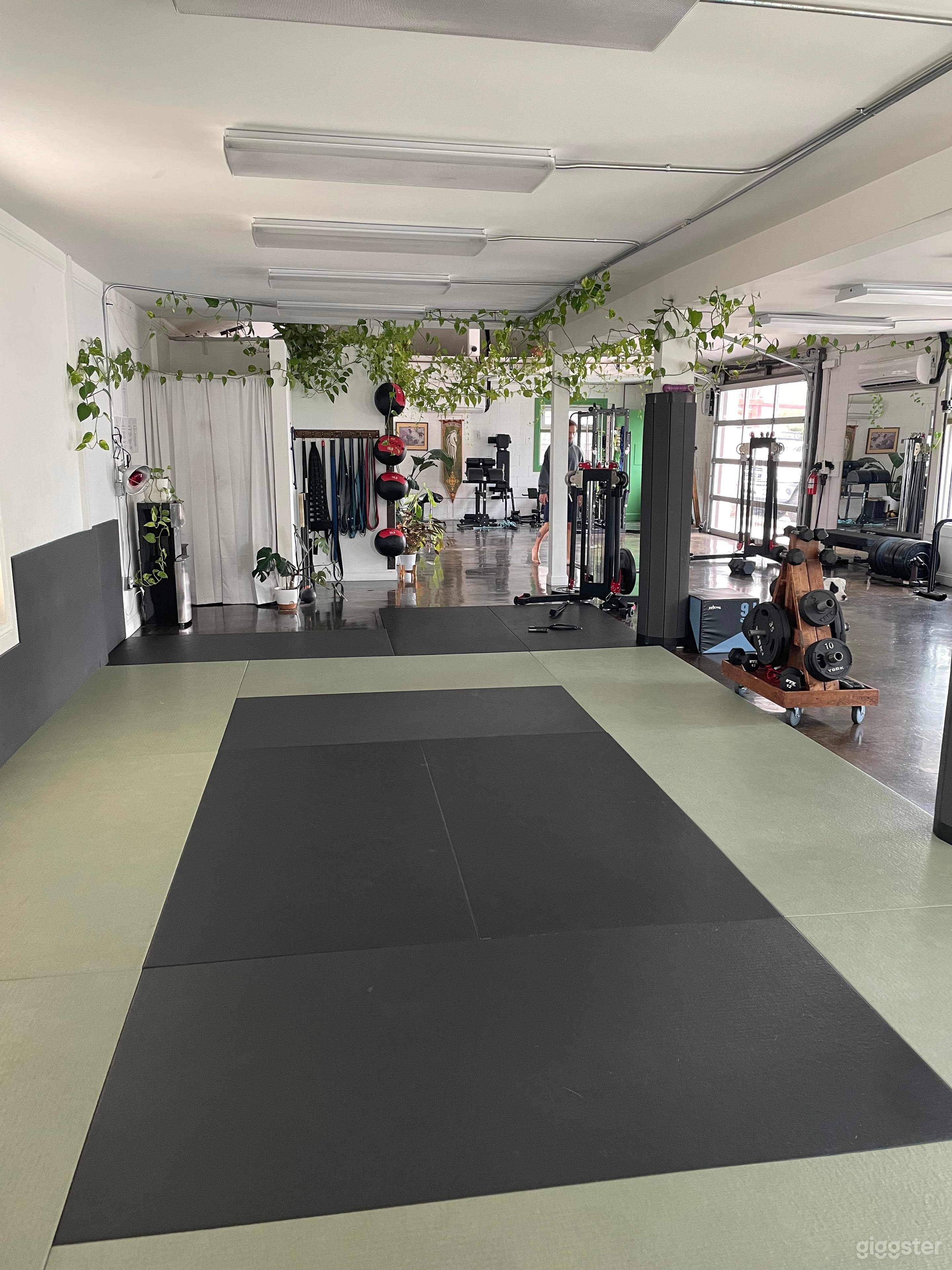 Naturally lit boutique minimalist fitness center Photo 1