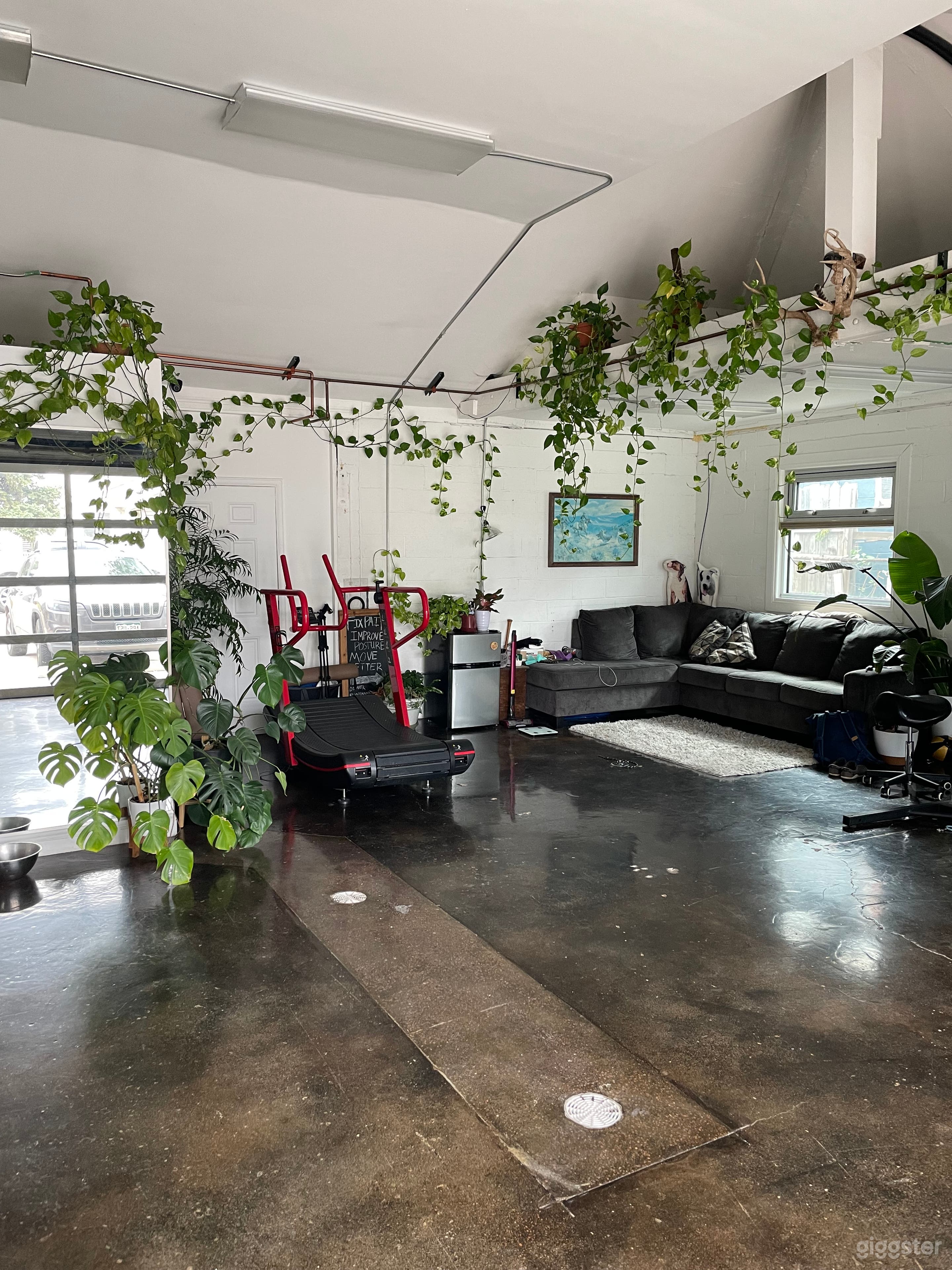 Naturally lit boutique minimalist fitness center Photo 3