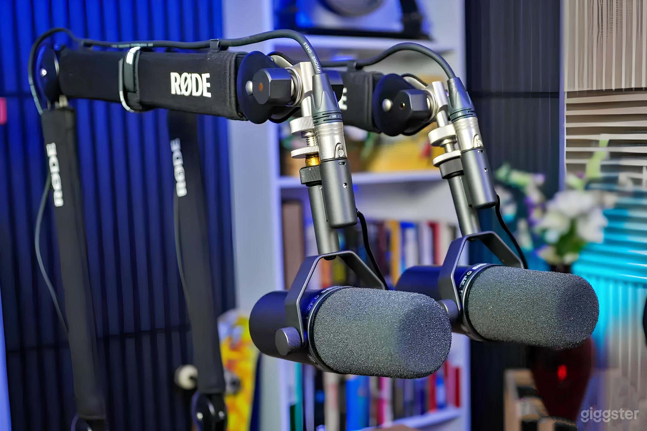 Podcast & Green Screen Suite for Creators (Buyout) Photo 4