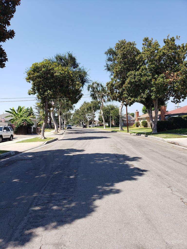  All residence in tree lined street. View taken from right of driveway. 