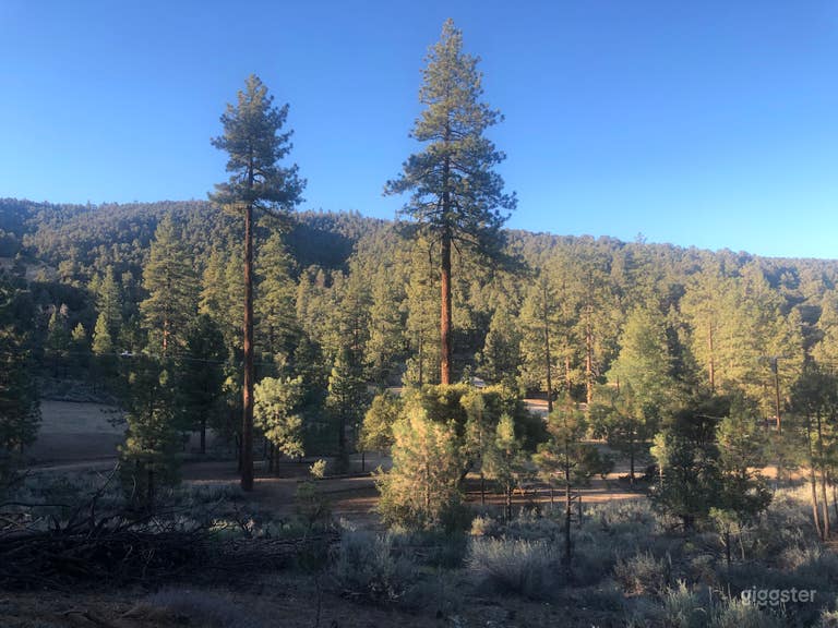  Pristine Mountainous Forest With Infrastructure 