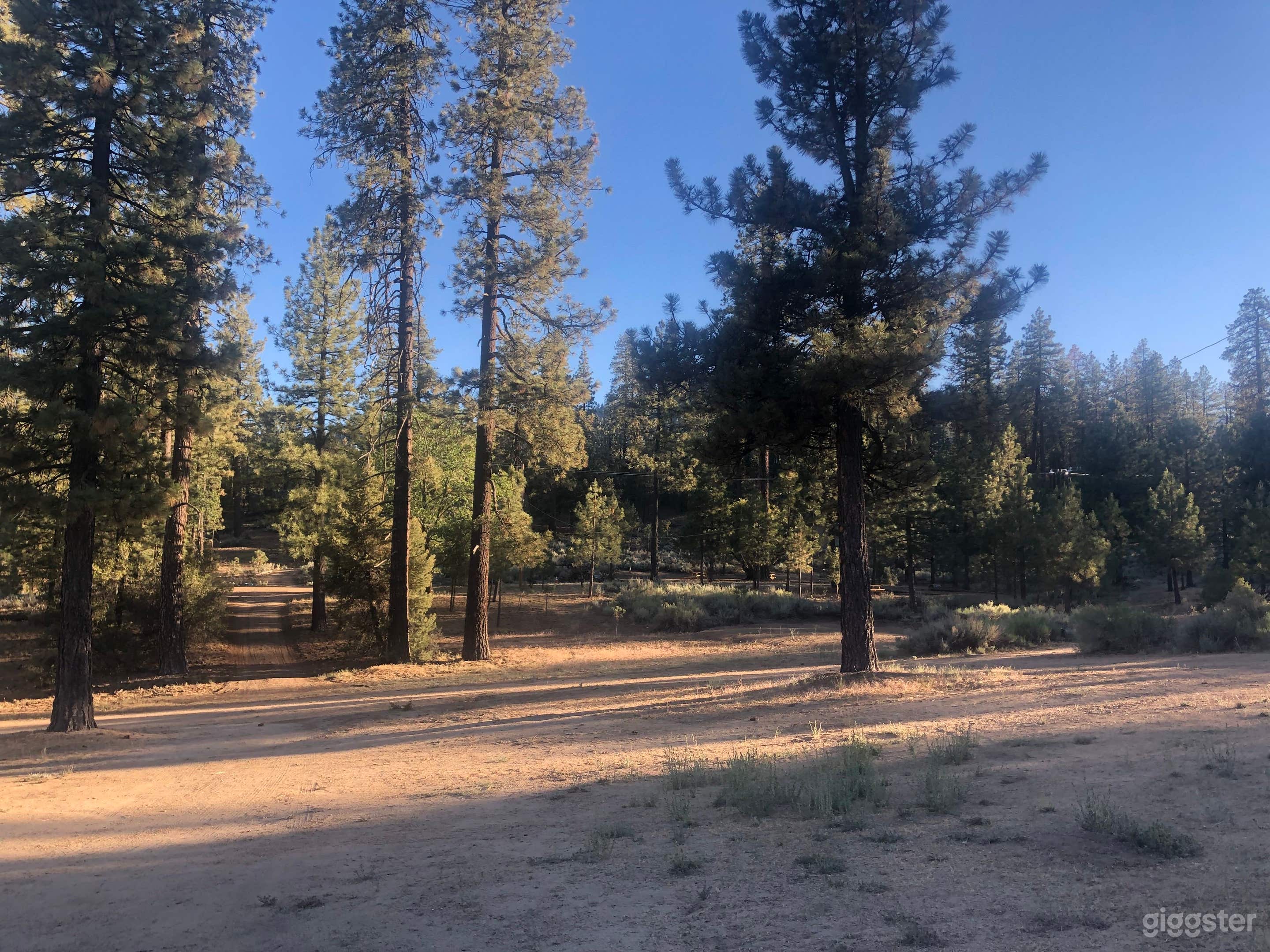 Pristine Mountainous Forest With Infrastructure Photo 3