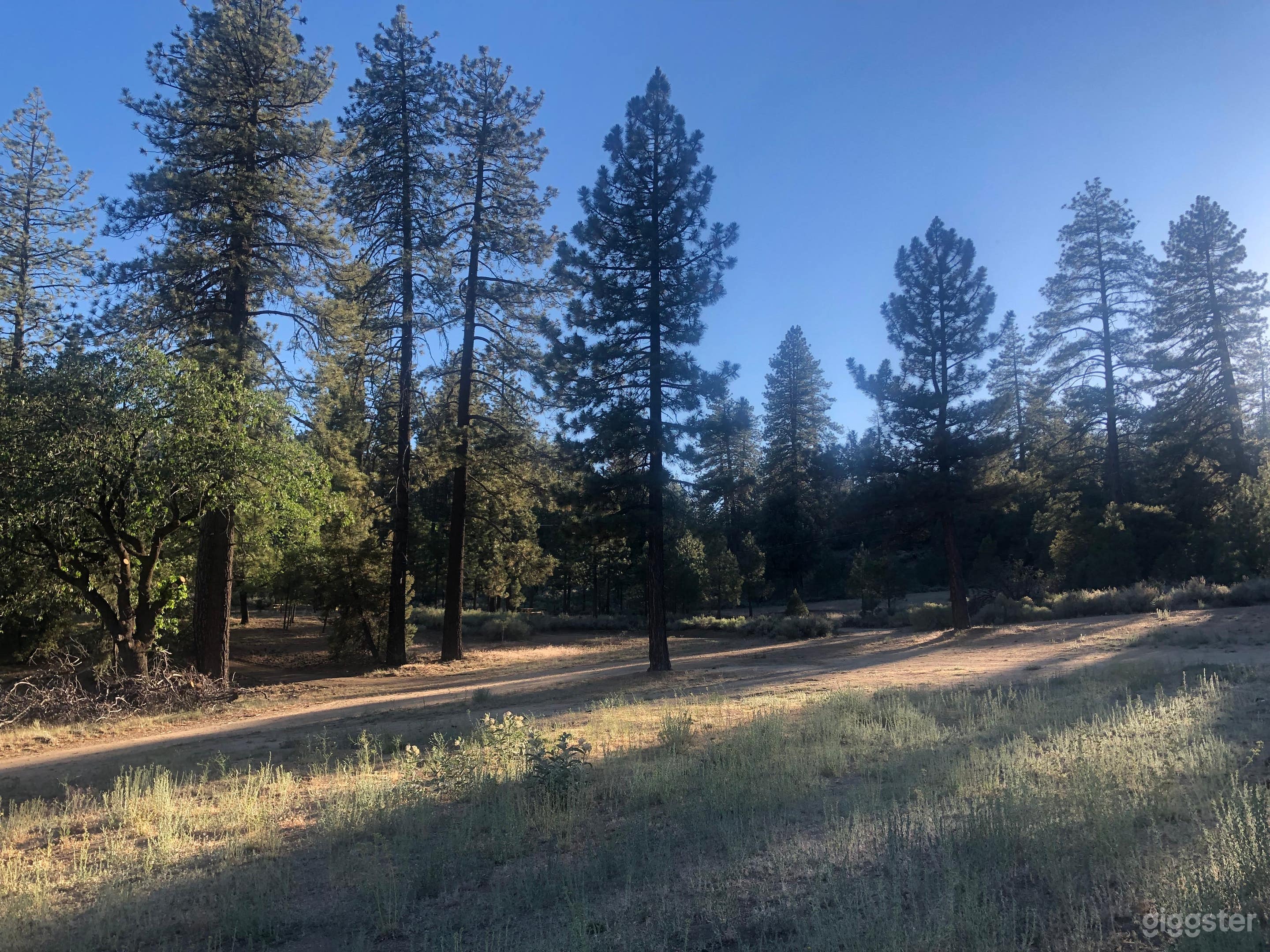 Pristine Mountainous Forest With Infrastructure Photo 2