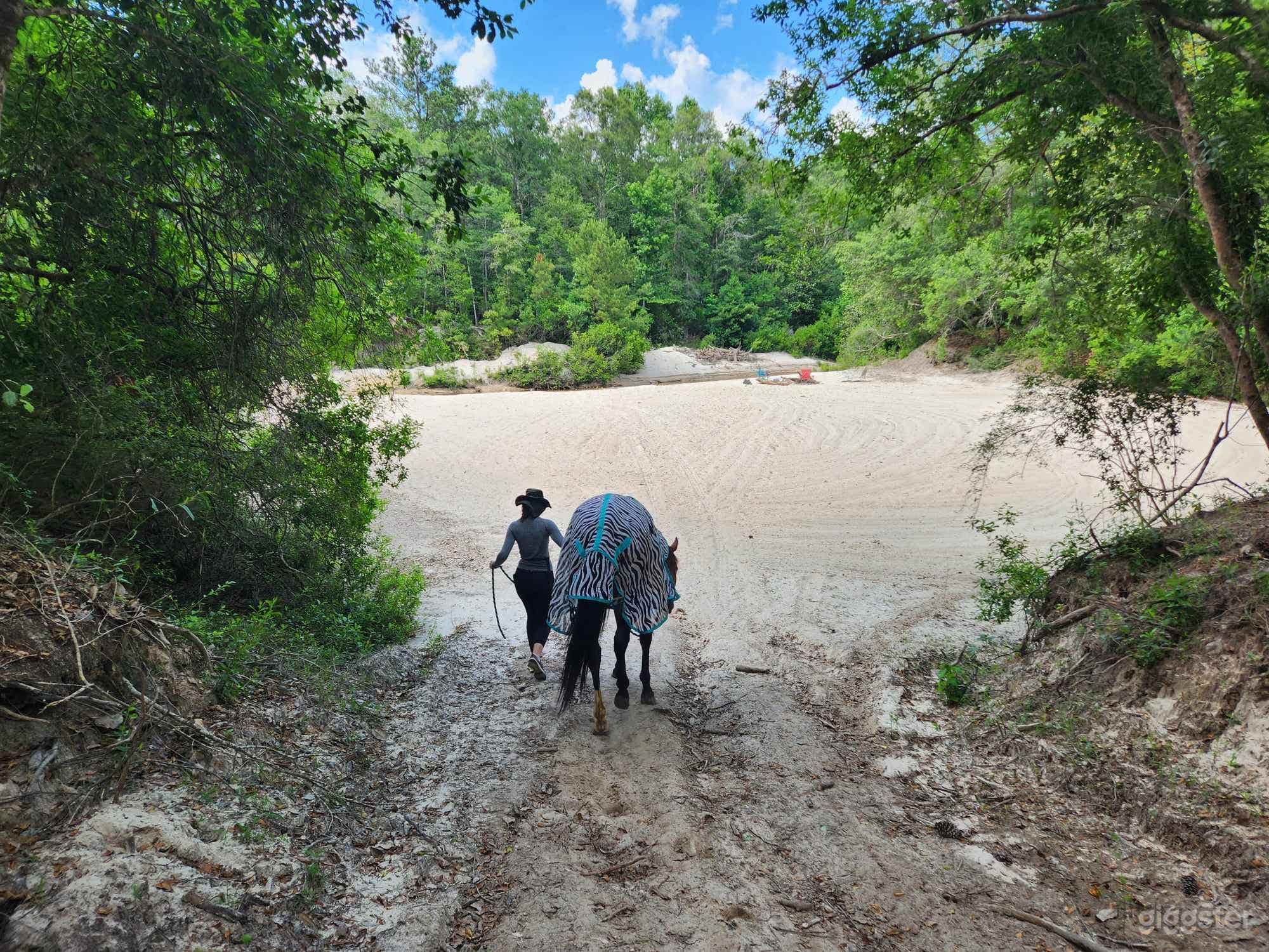 Beach going to creek, keep scrolling to get to haunted forest