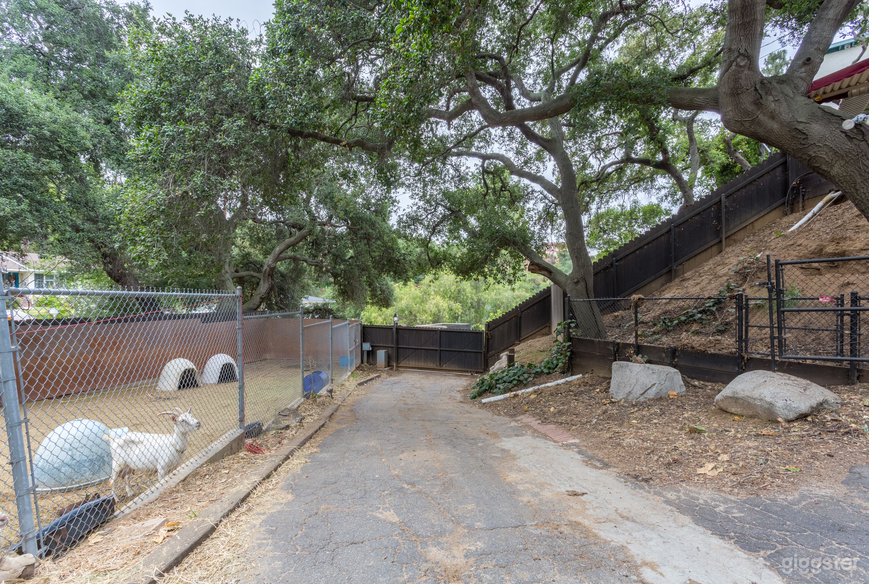Down driveway towards gate