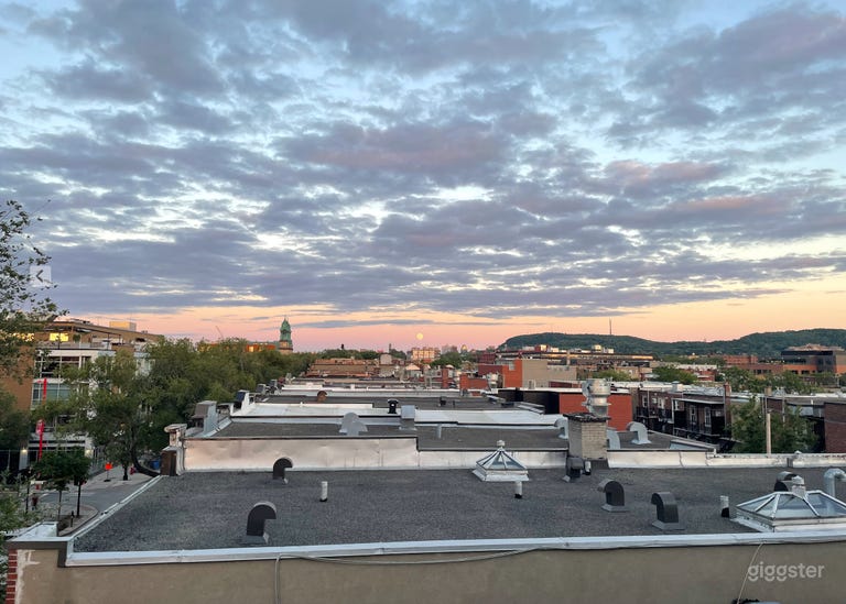  Stylish Loft with Iconic Charm & Massive Terrace 