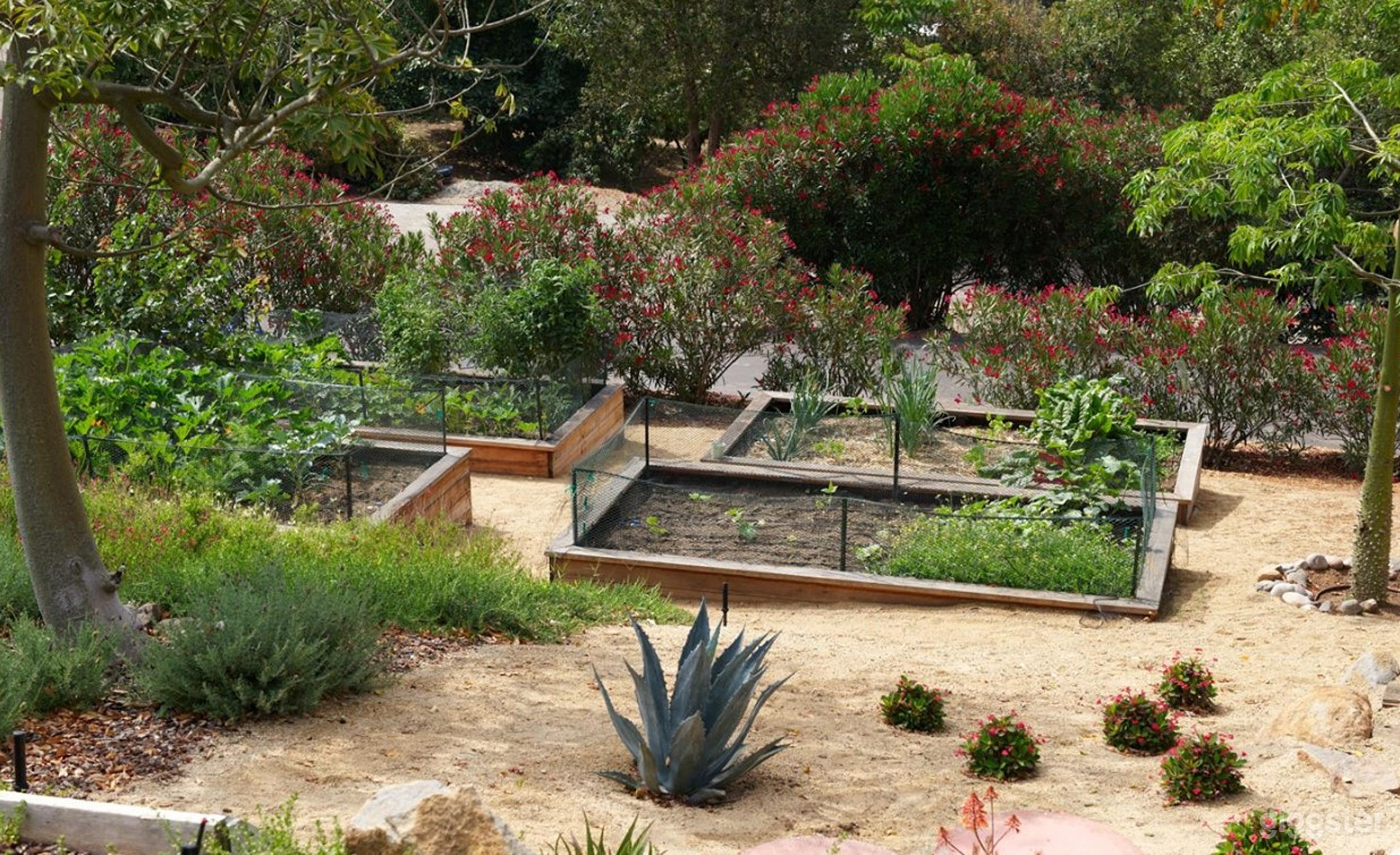 Mid Century, Modern Style Swimming Pool Photo 4