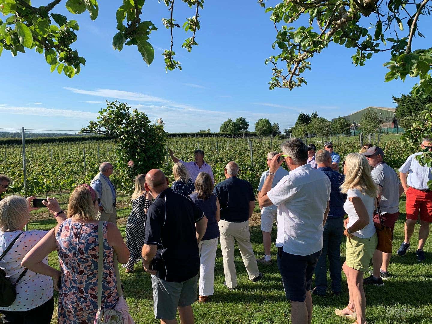 Stunning Vineyard Locations Photo 3